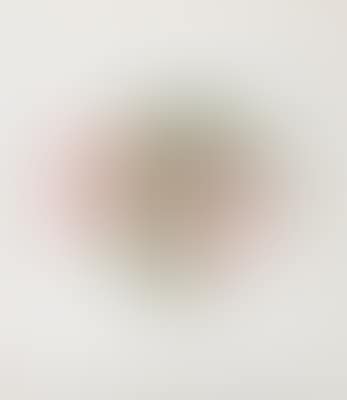 Rhododendronzweig (preview)