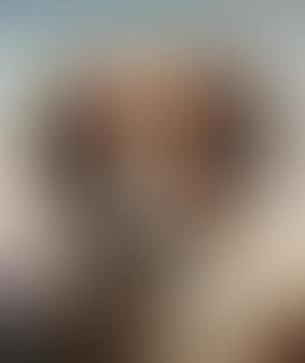 Ein Bernhardiner (preview)