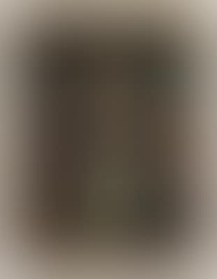 Halbportrait der Hofdame Antonia von Dornfeld (Wien 1742-1829 Steyr) (preview)
