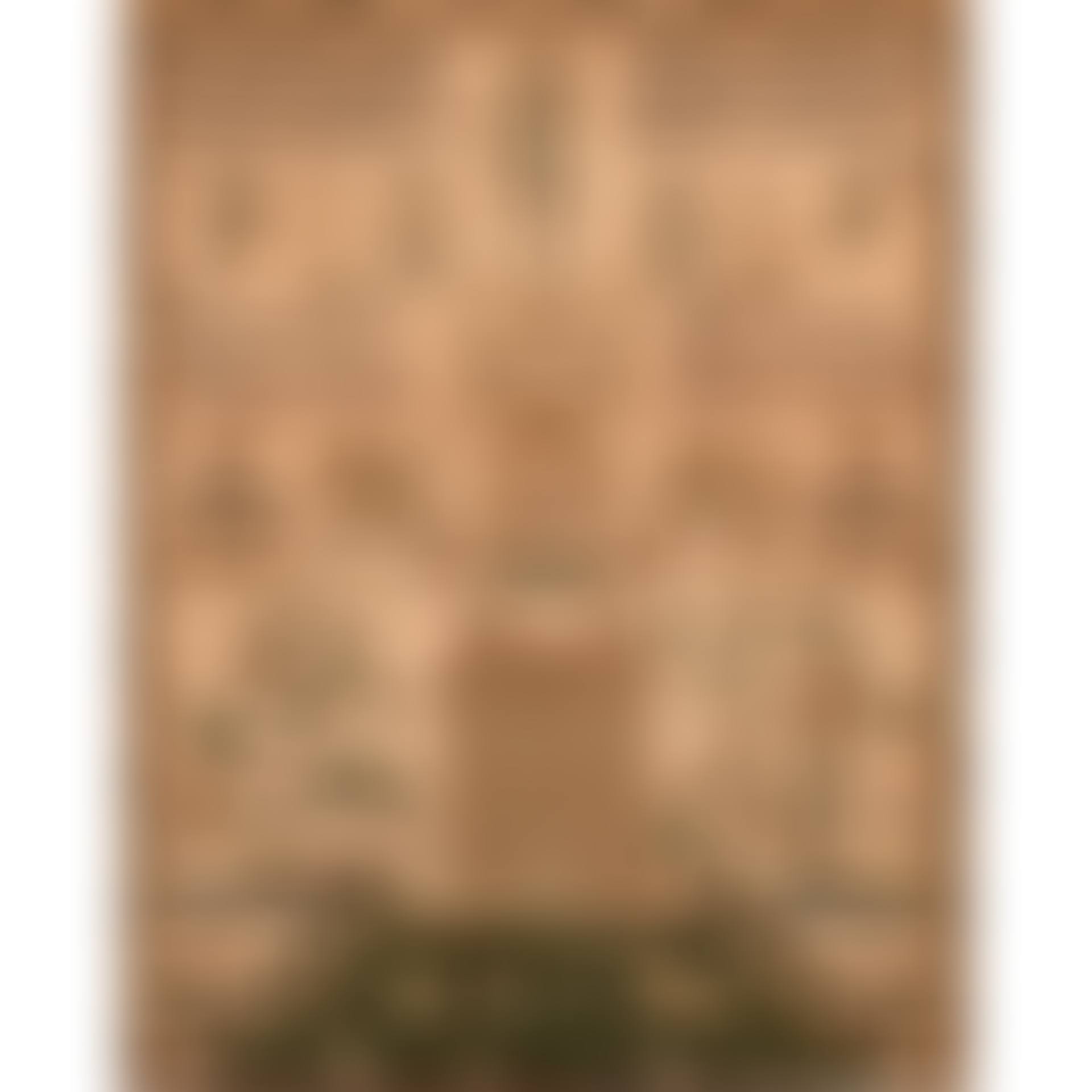 A SILK-ON-MUSLIN ADAM AND EVE NEEDLEWORK SAMPLER (preview)