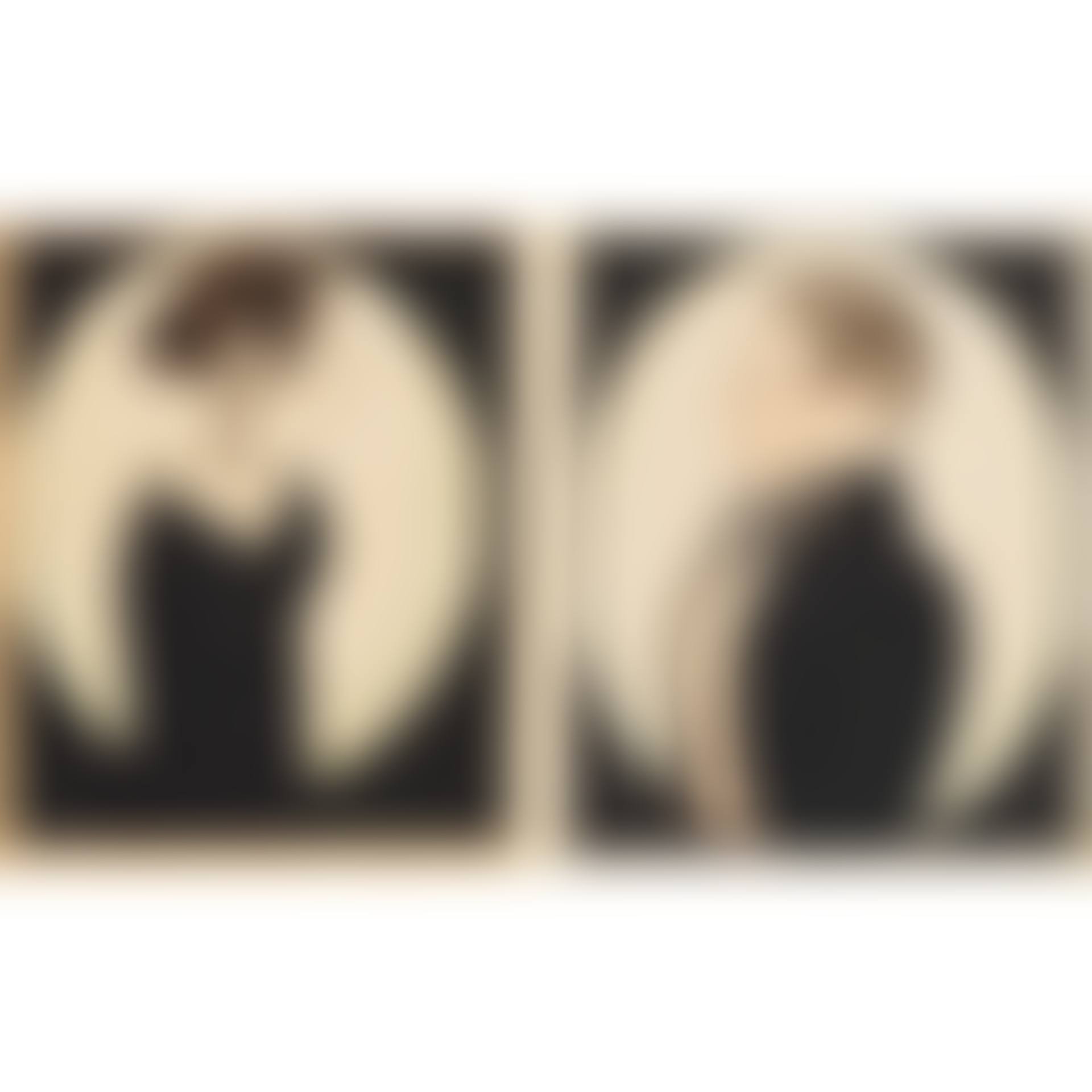 A PAIR OF PORTRAITS: JAMES H. MINTON AND SARAH W. MINTON (preview)