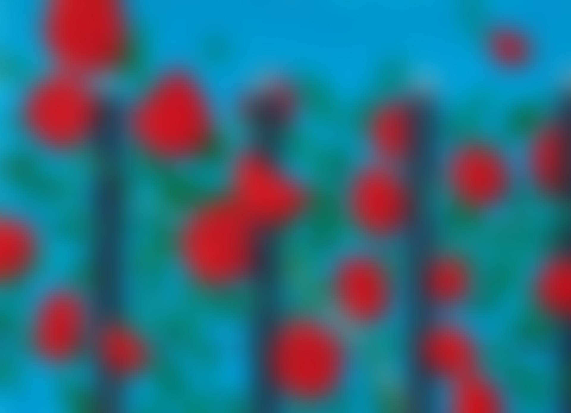 Red Roses with Blue (preview)
