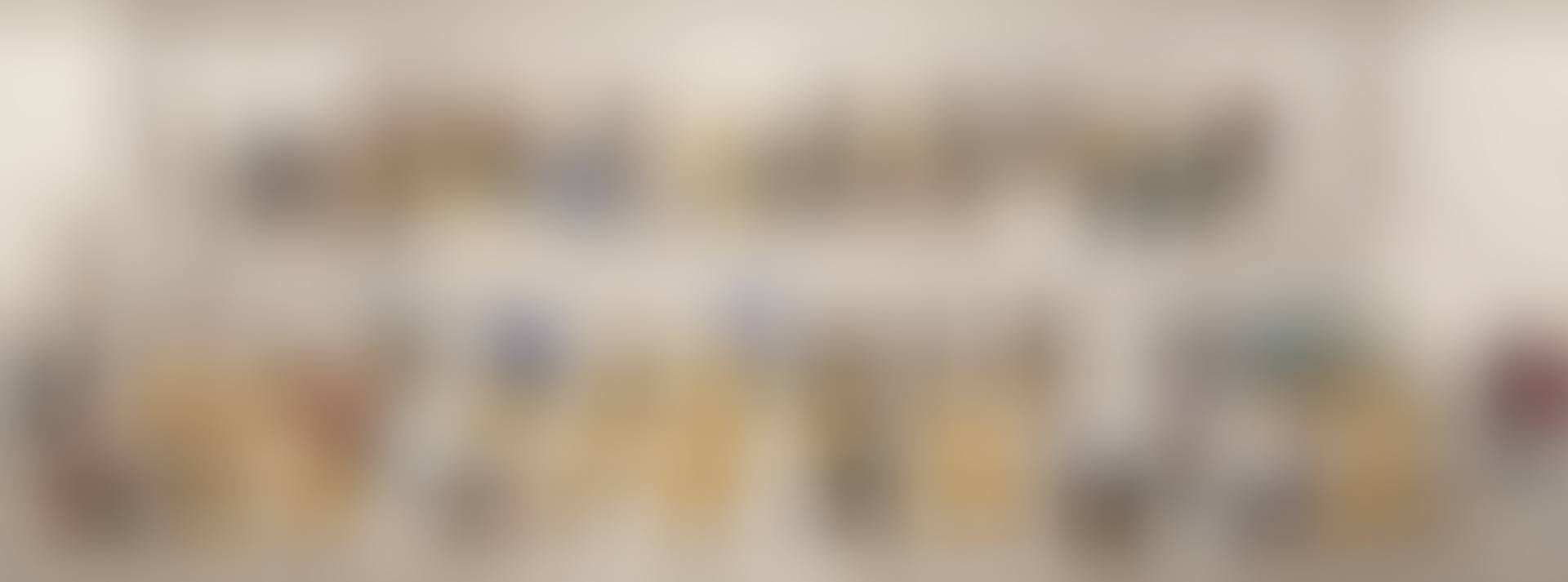 Pictured Gathering with Mirror (preview)