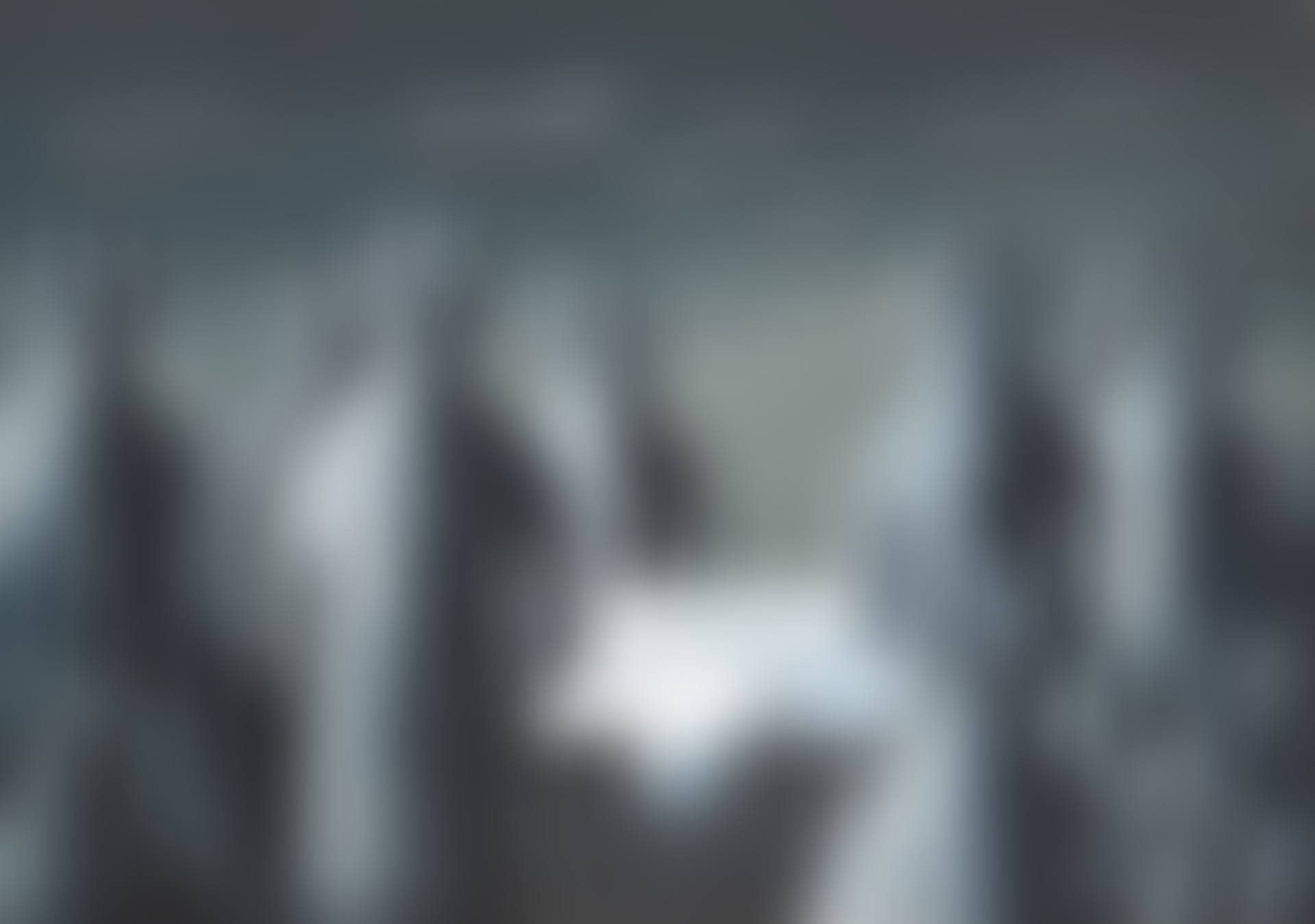 The Frozen North Pole Series - Large Doll (preview)