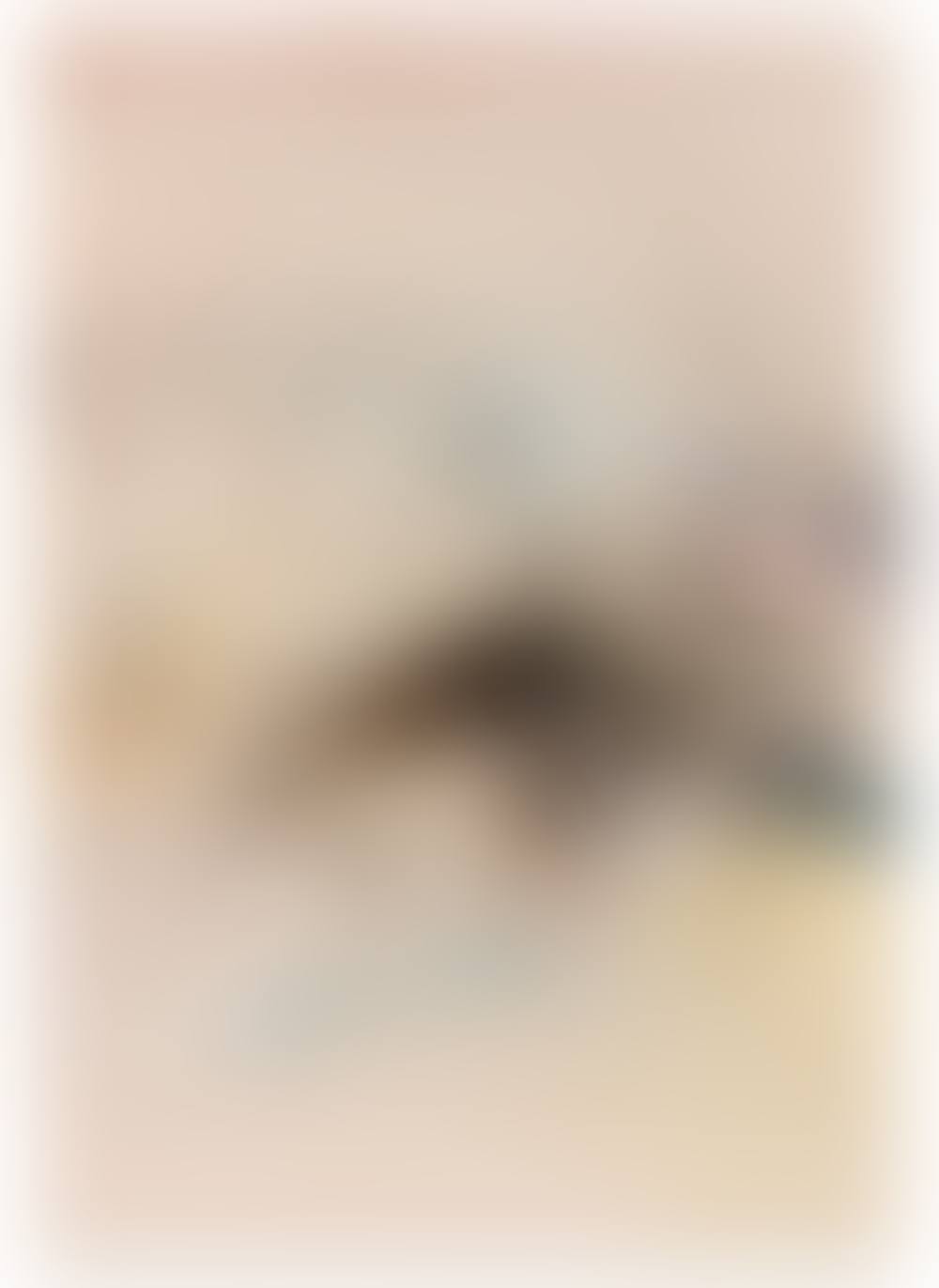 Sans titre (preview)