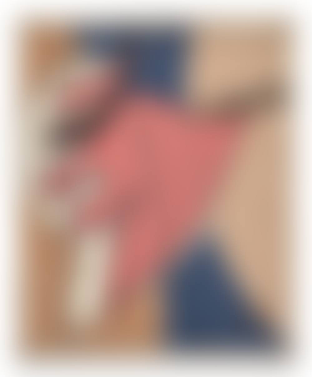 Bolide (preview)