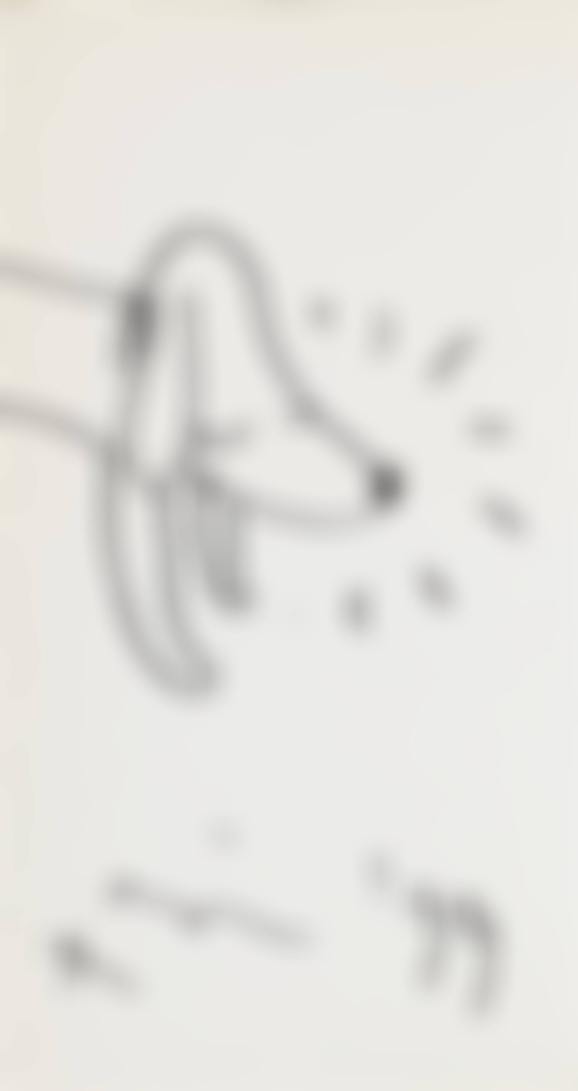 Autograph (preview)