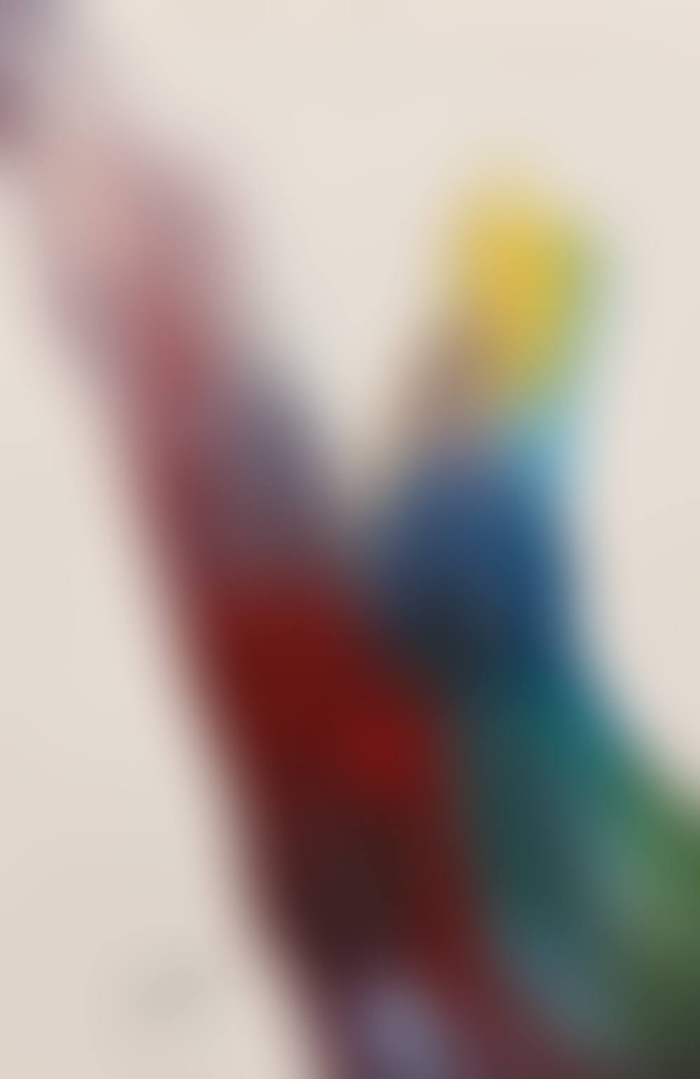 Phenomena return voyage (preview)