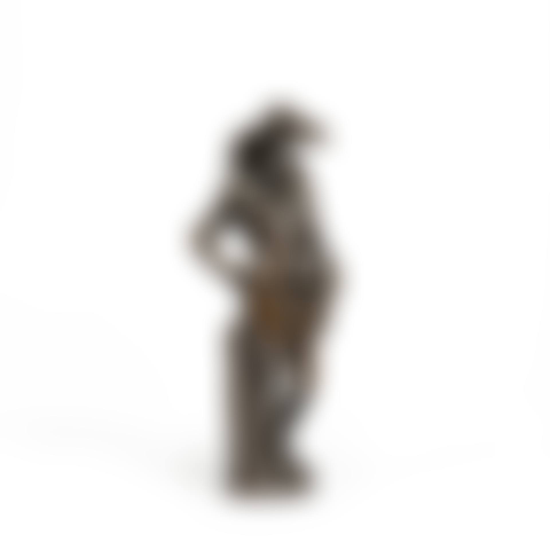 HOMME OISEAU, CIRCA (preview)