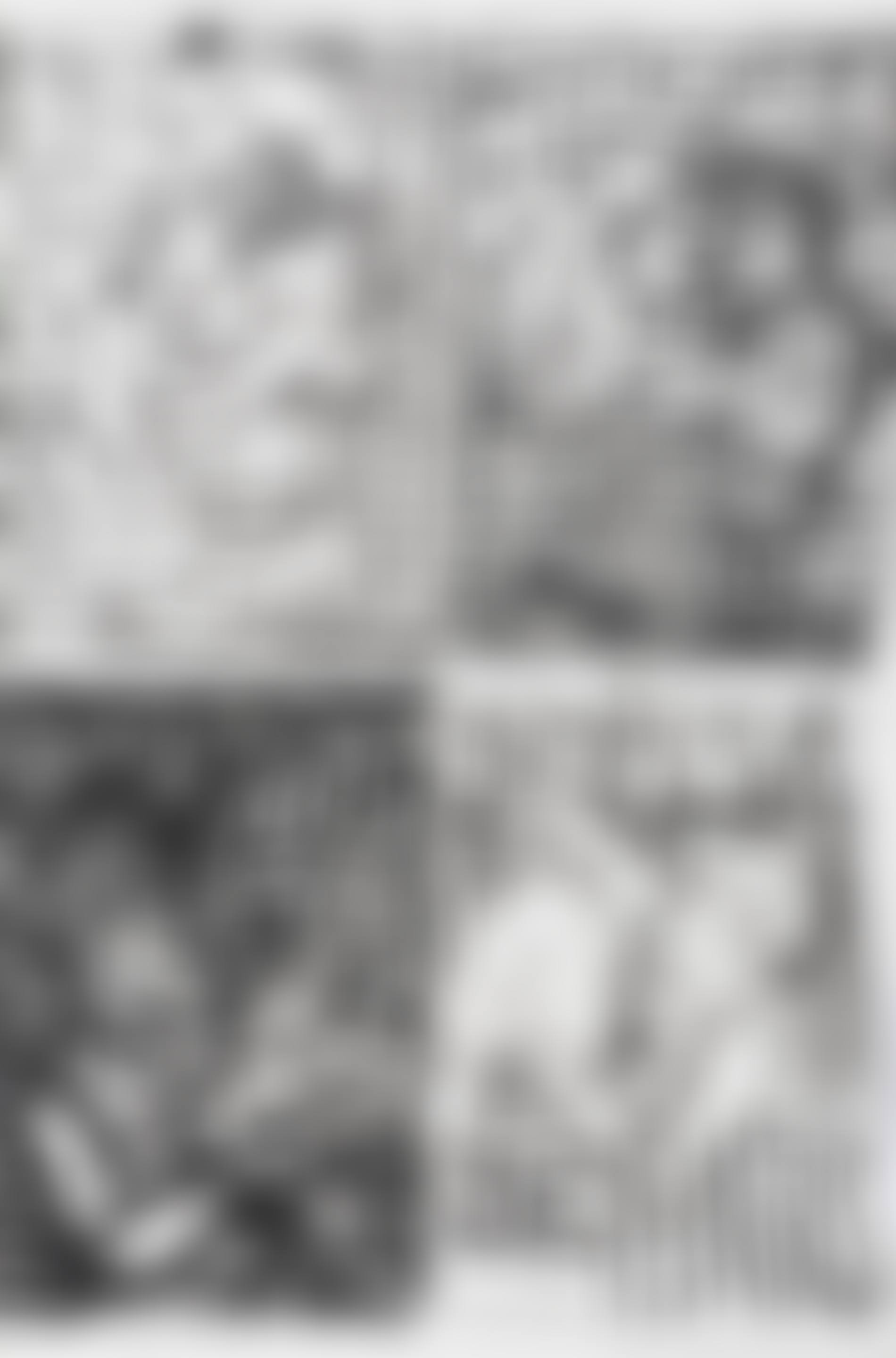 AFFICHES DE PEINTRES (preview)