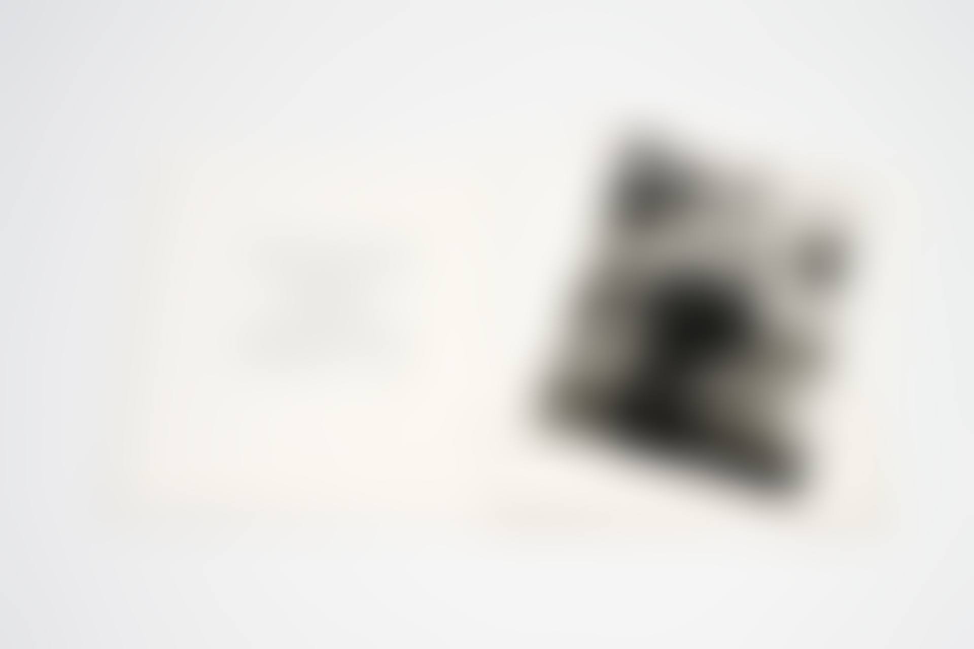 LA TRAVERSEE DU GRAND VERRE (preview)