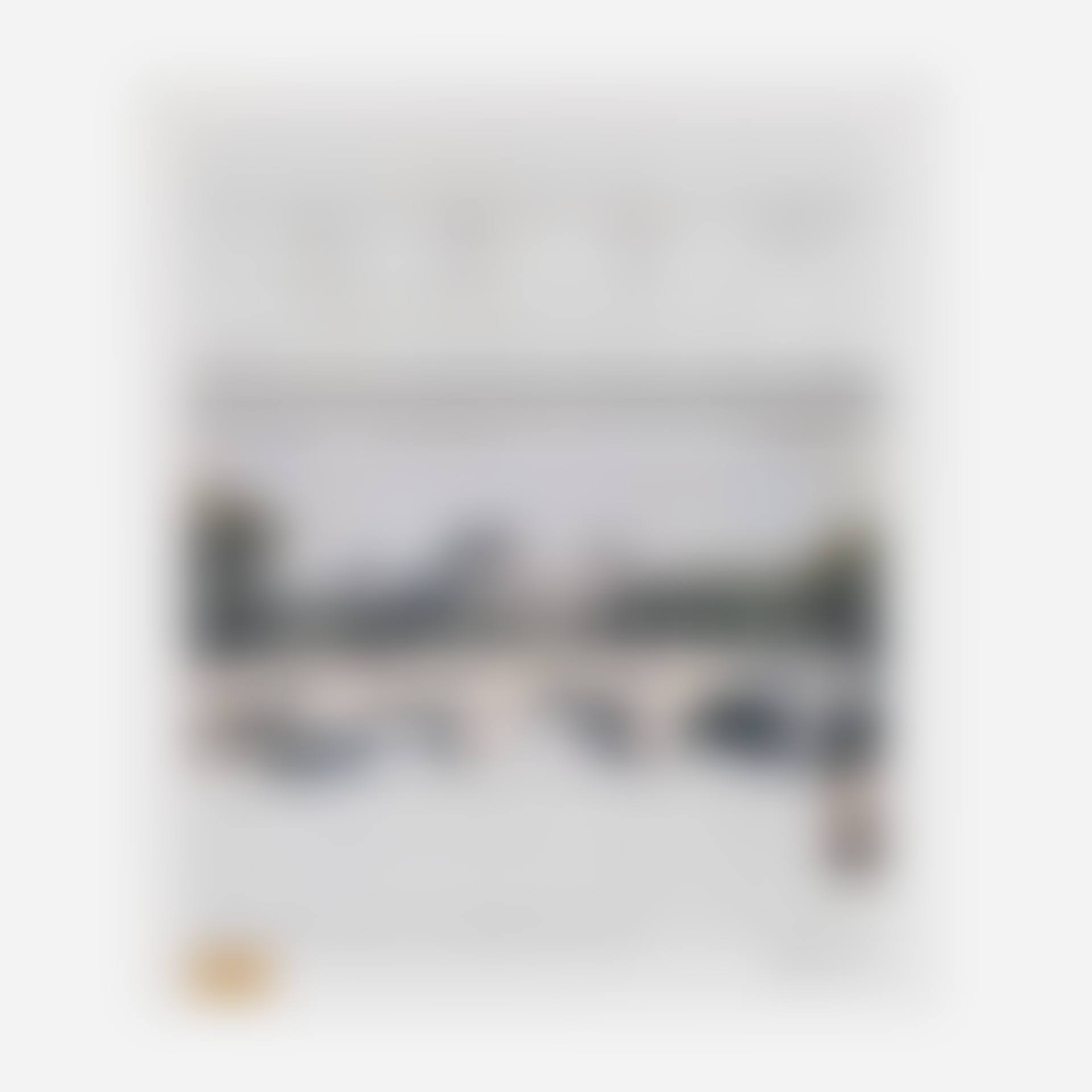 Pont Neuf Wrapped (preview)