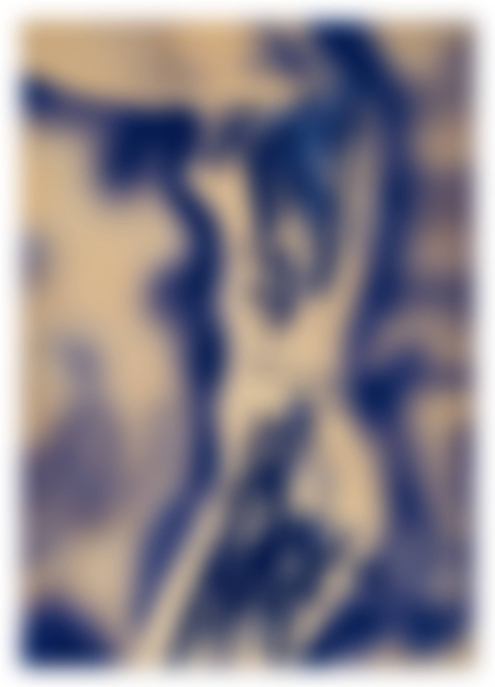 Untitled anthropométrie (ANT 9) (preview)