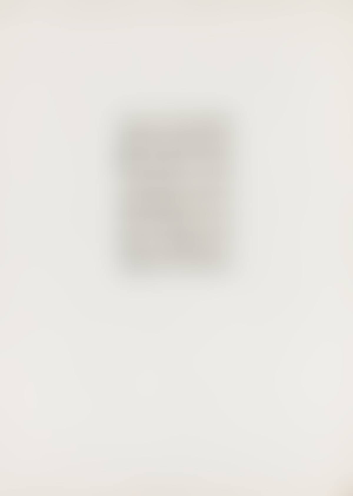 Painting Study 1 (preview)