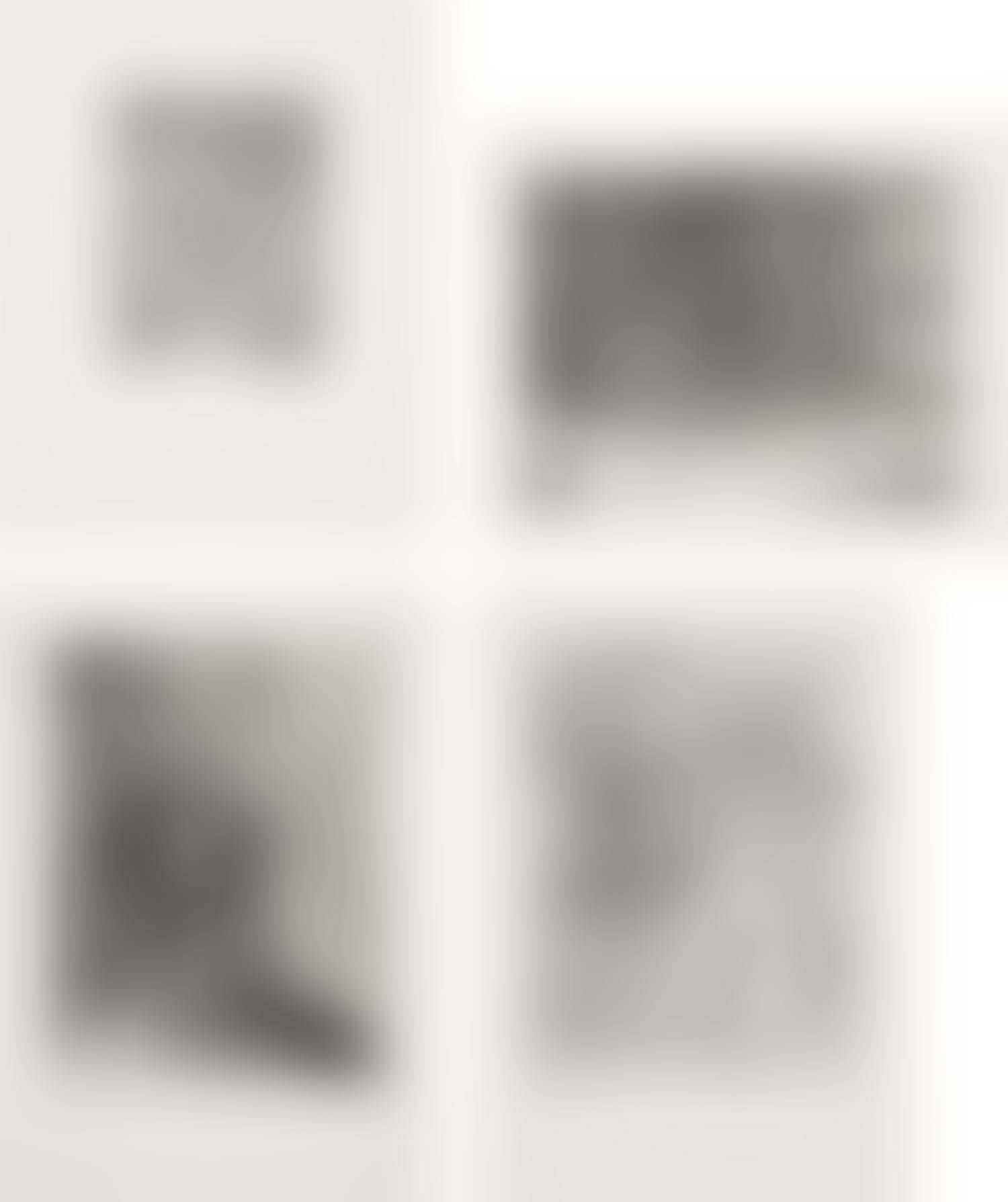 Untitled: four works (preview)