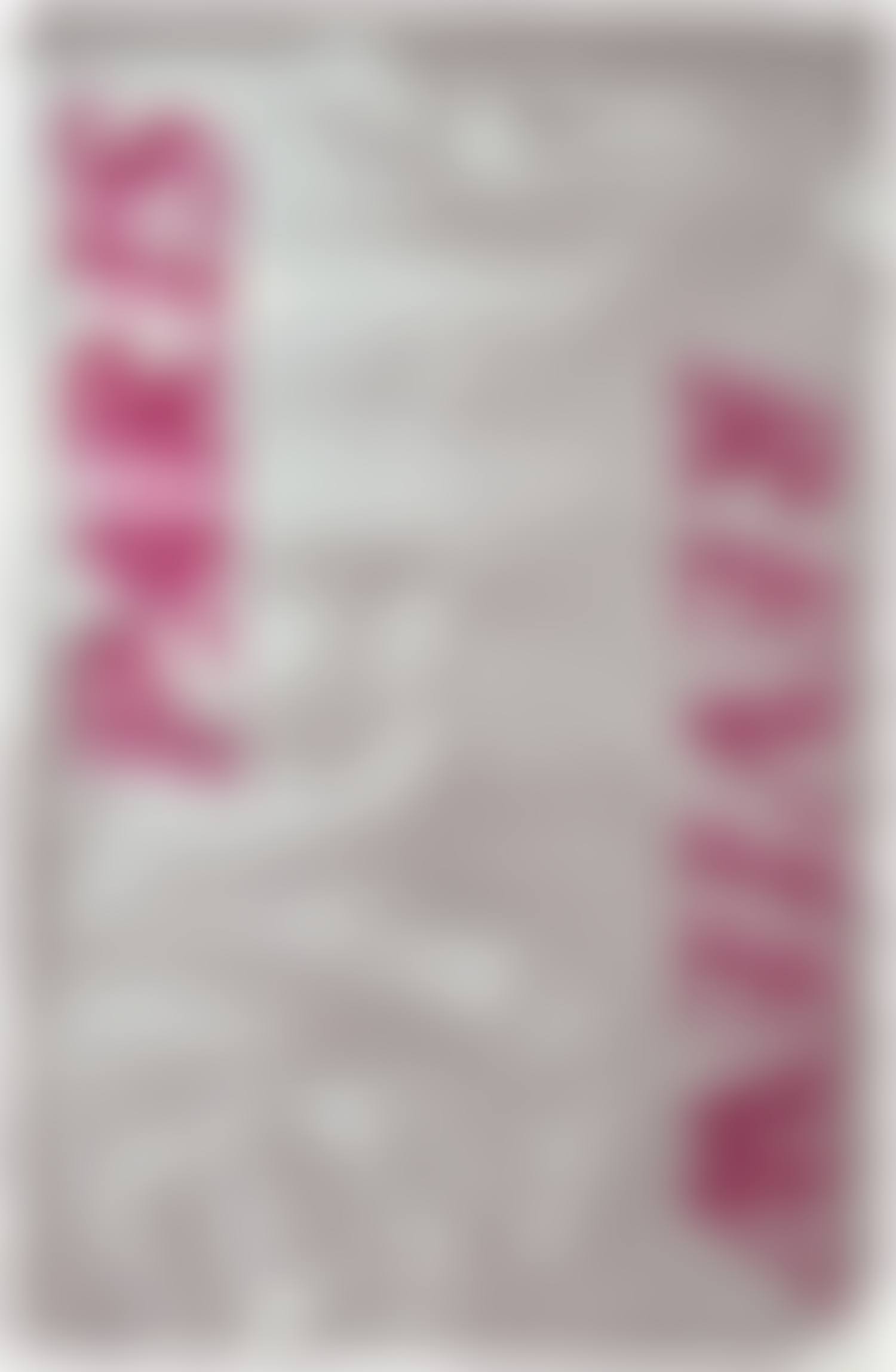 Paris Review (preview)