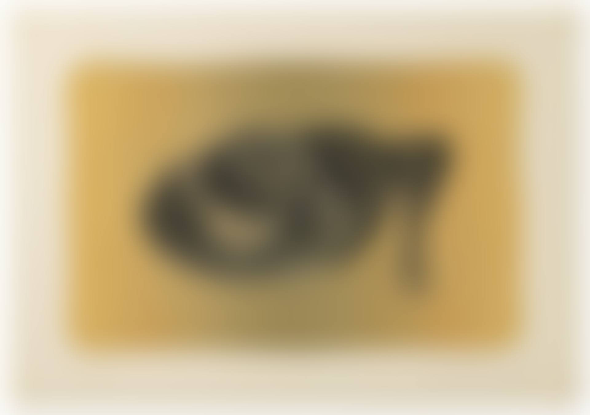 Pelztasse (fond jaune) (preview)