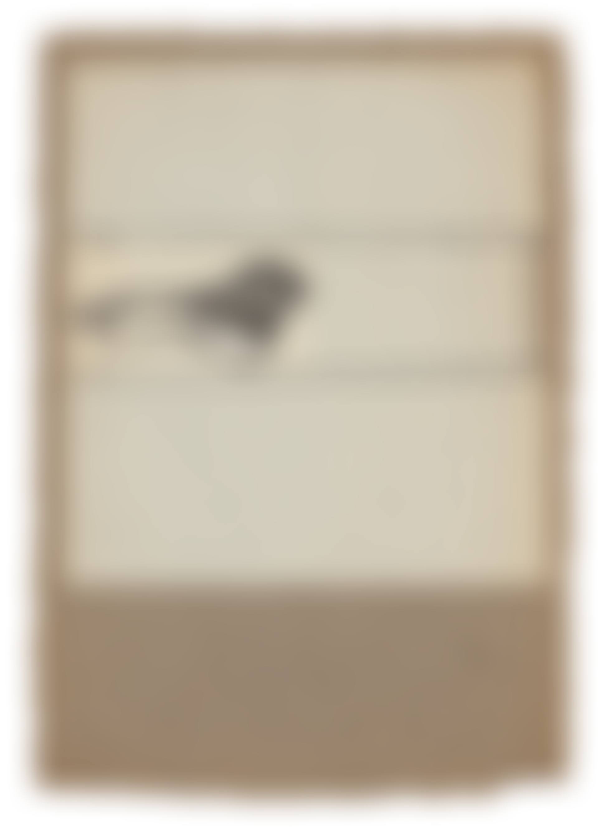 Untitled [foot] (preview)