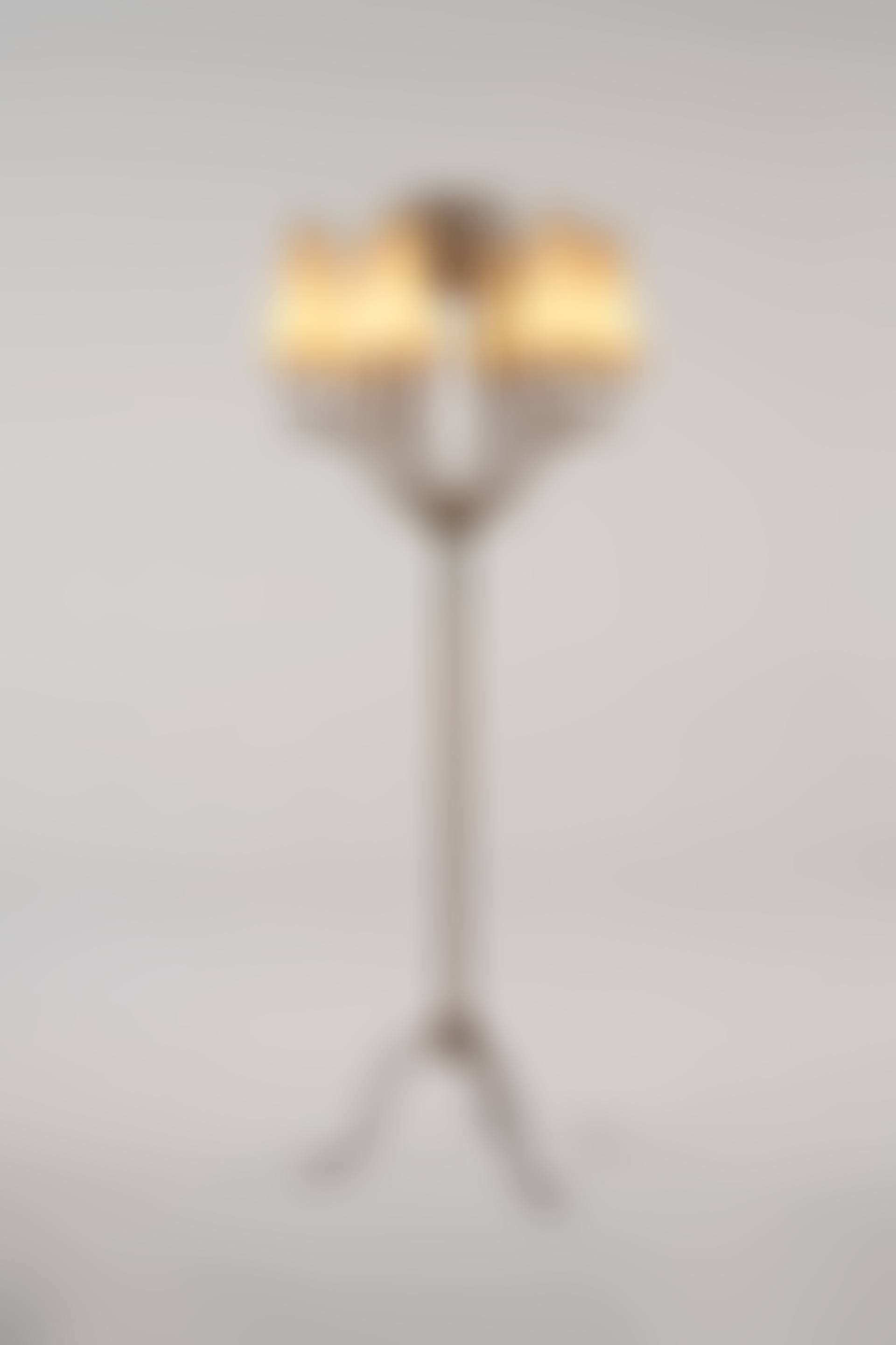 'CORBEILLE' FLOOR LAMP (preview)