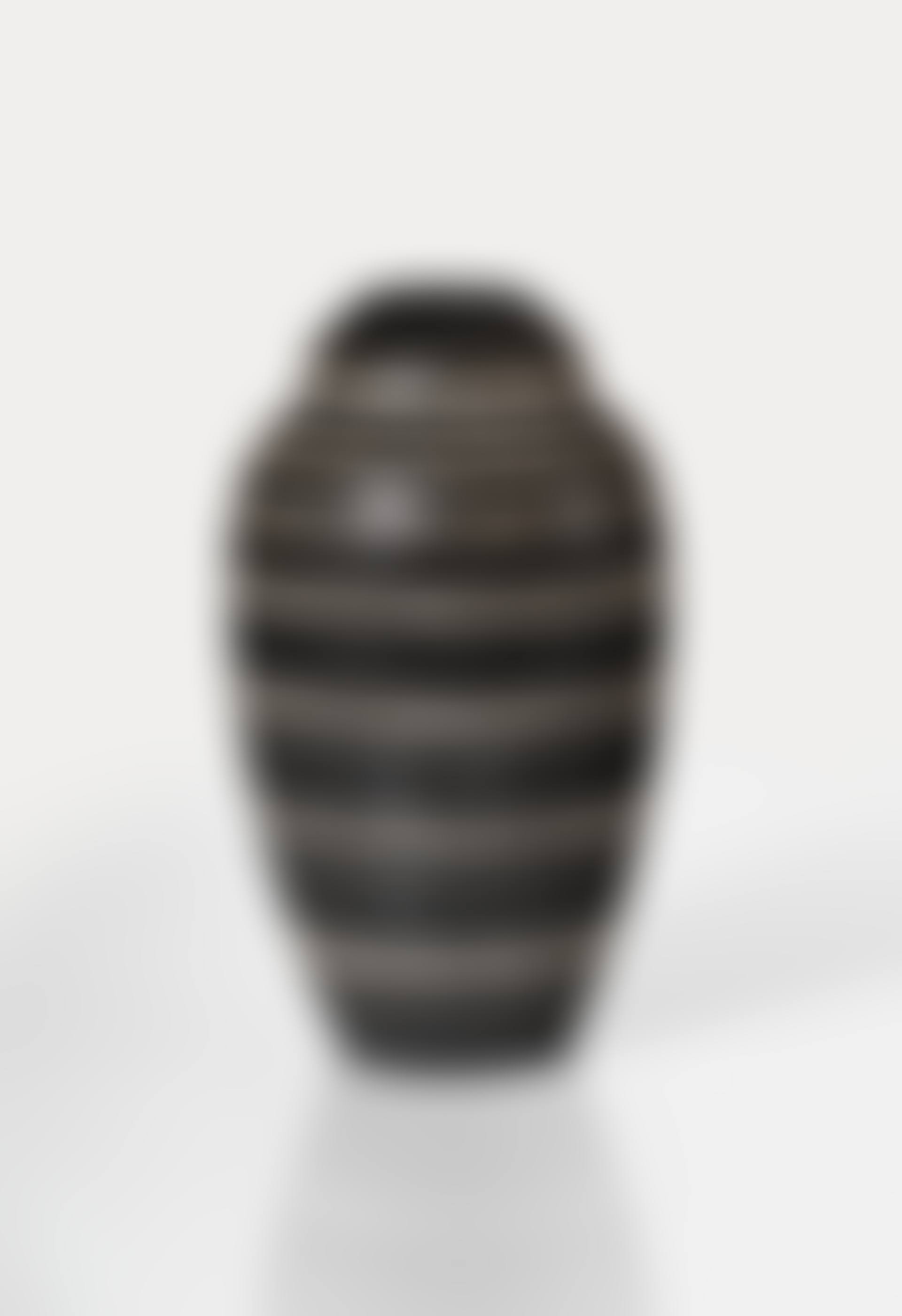 VASE (preview)