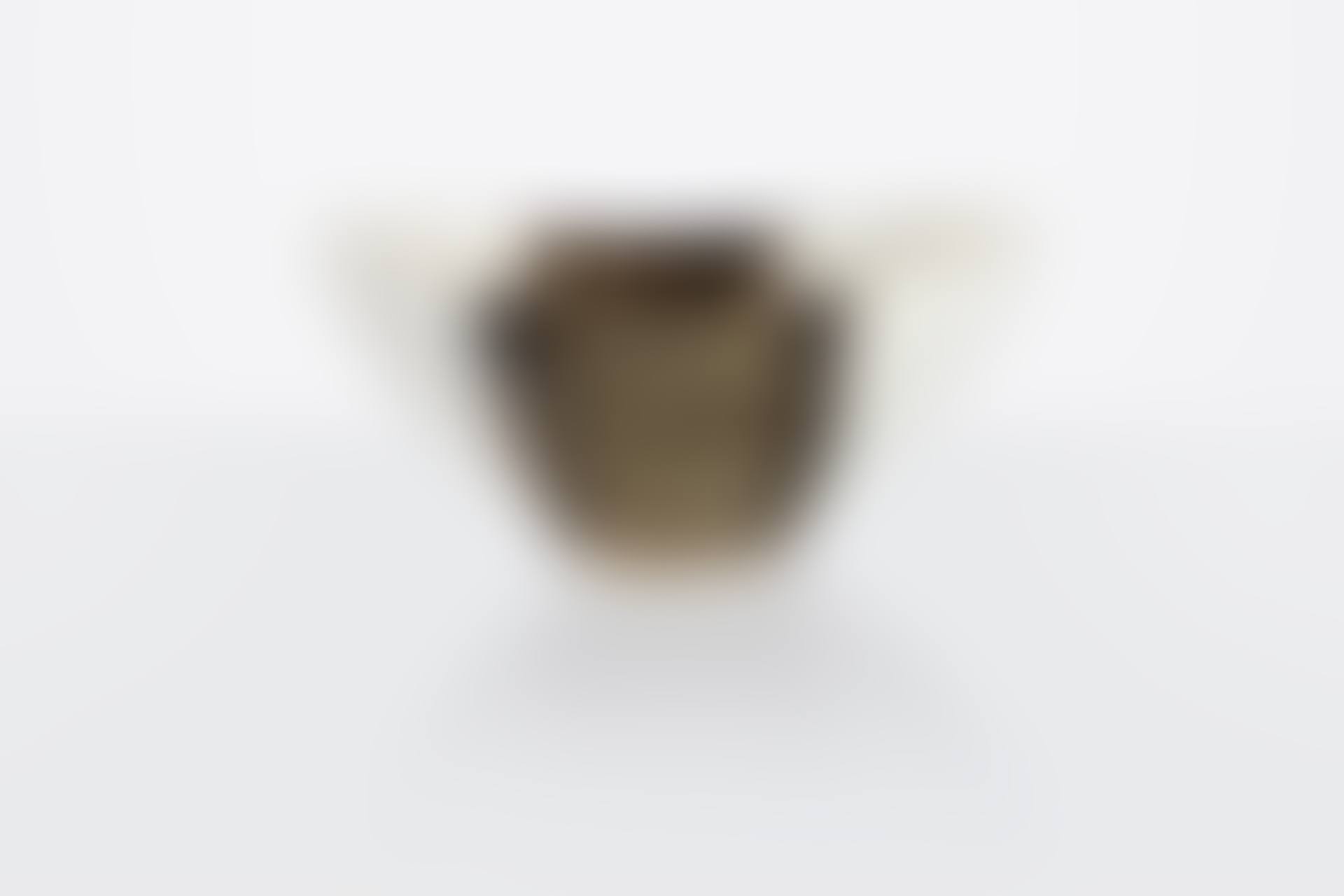 Bowl (preview)