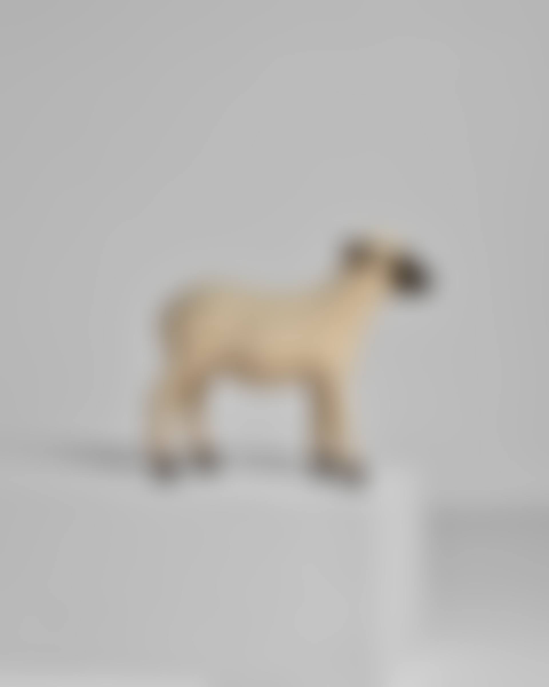 Mouton (preview)