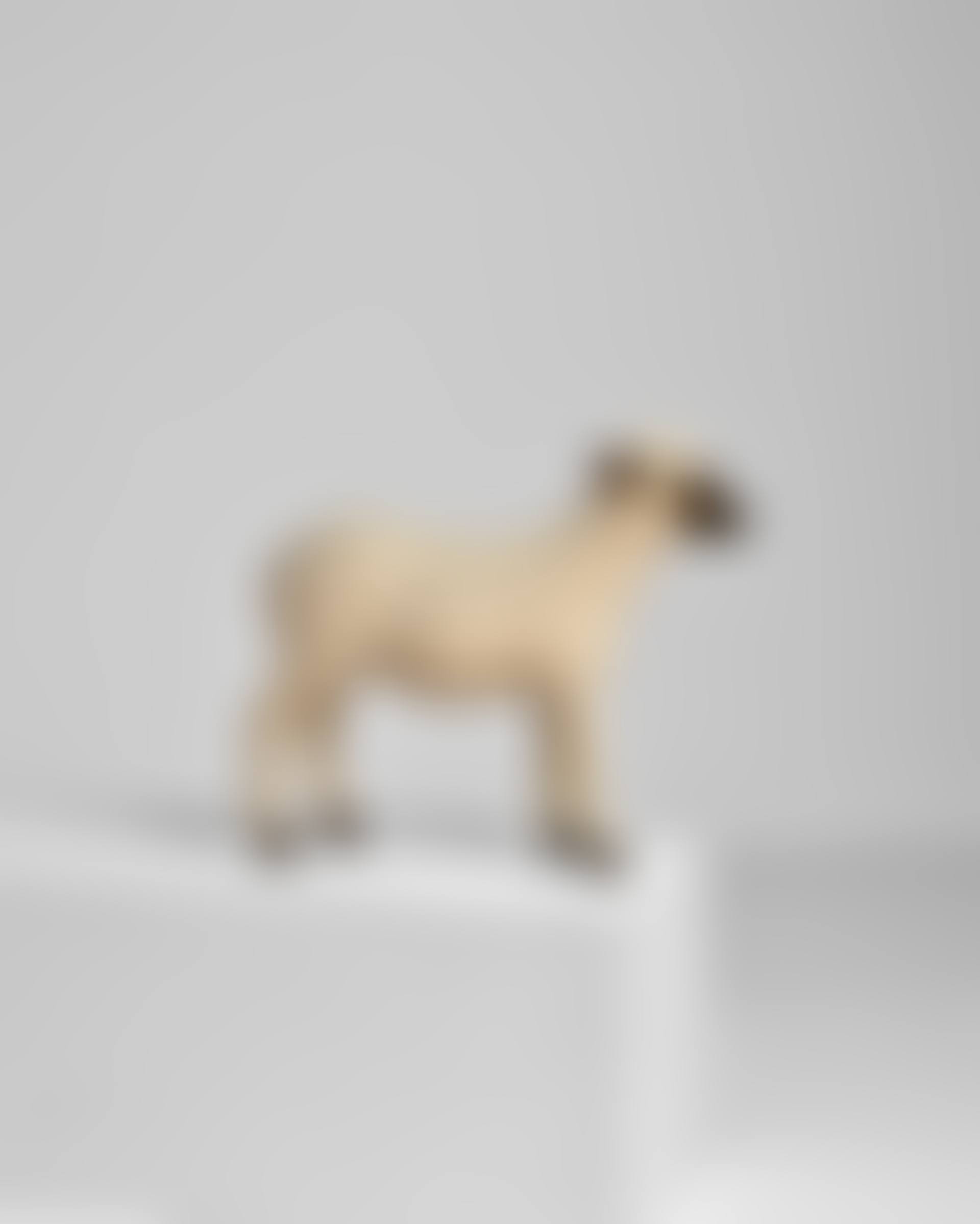 Mouton, Agneau (preview)