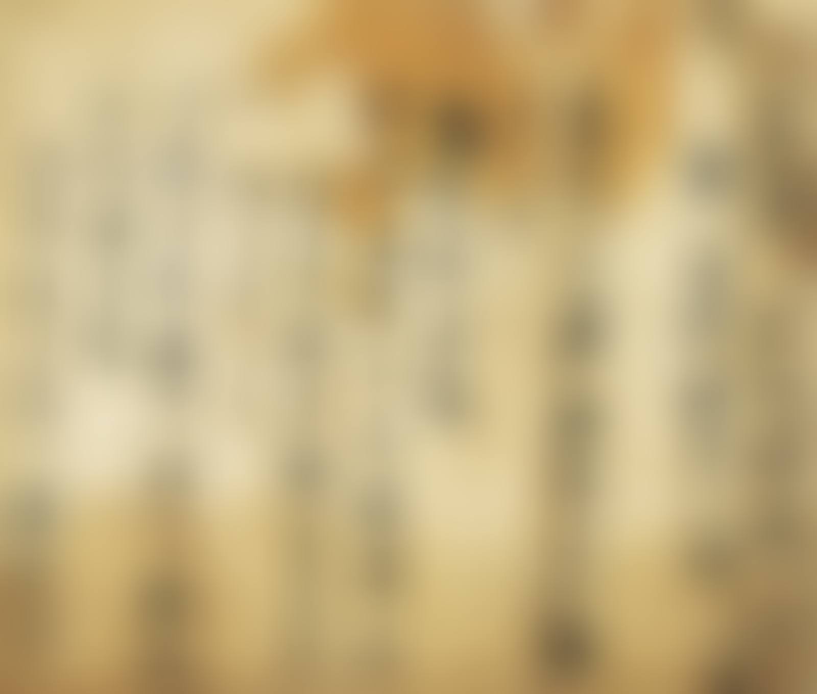 Letter (preview)