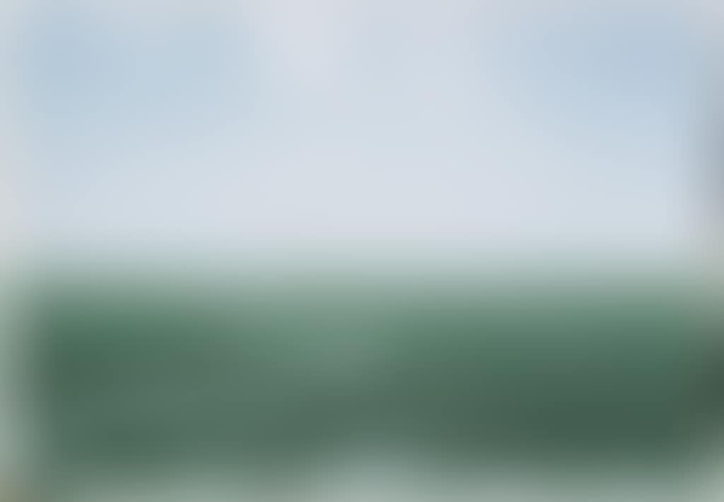 Land of Silence (preview)