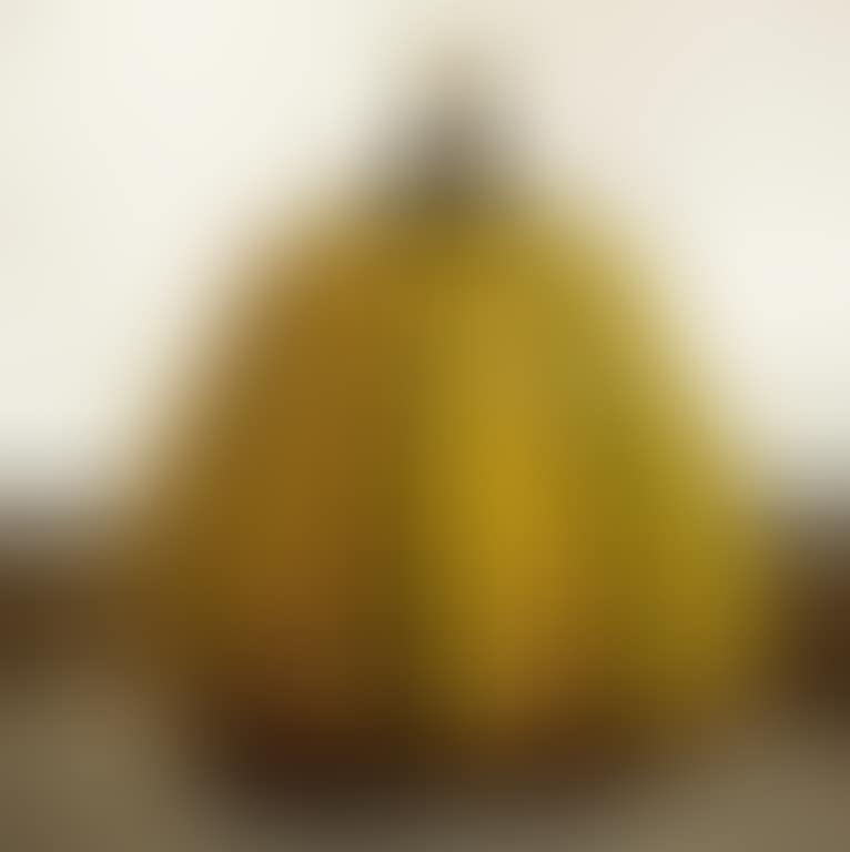Pumpkin (preview)