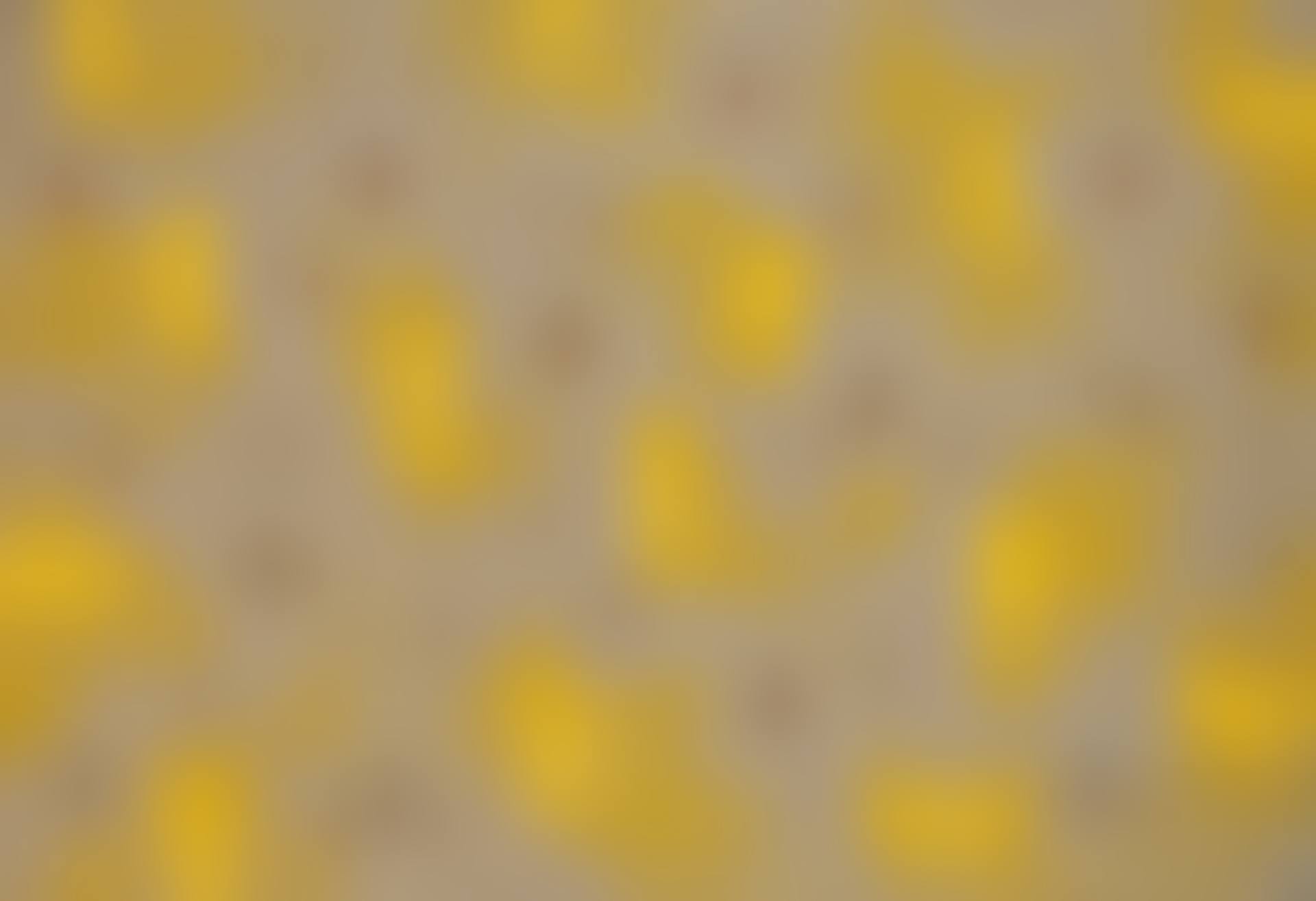 Recurrence (preview)