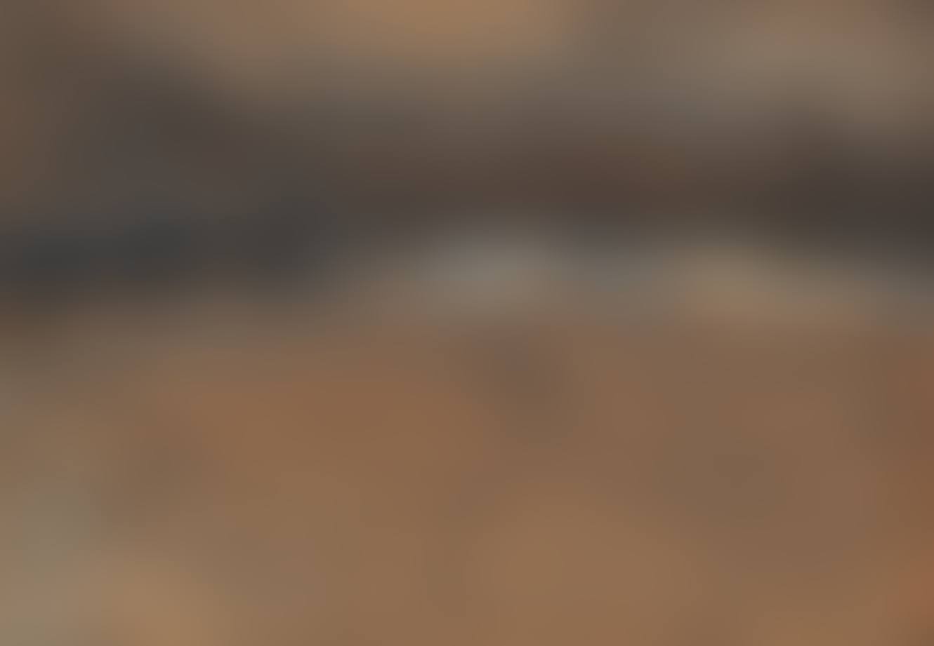 Landscape (preview)