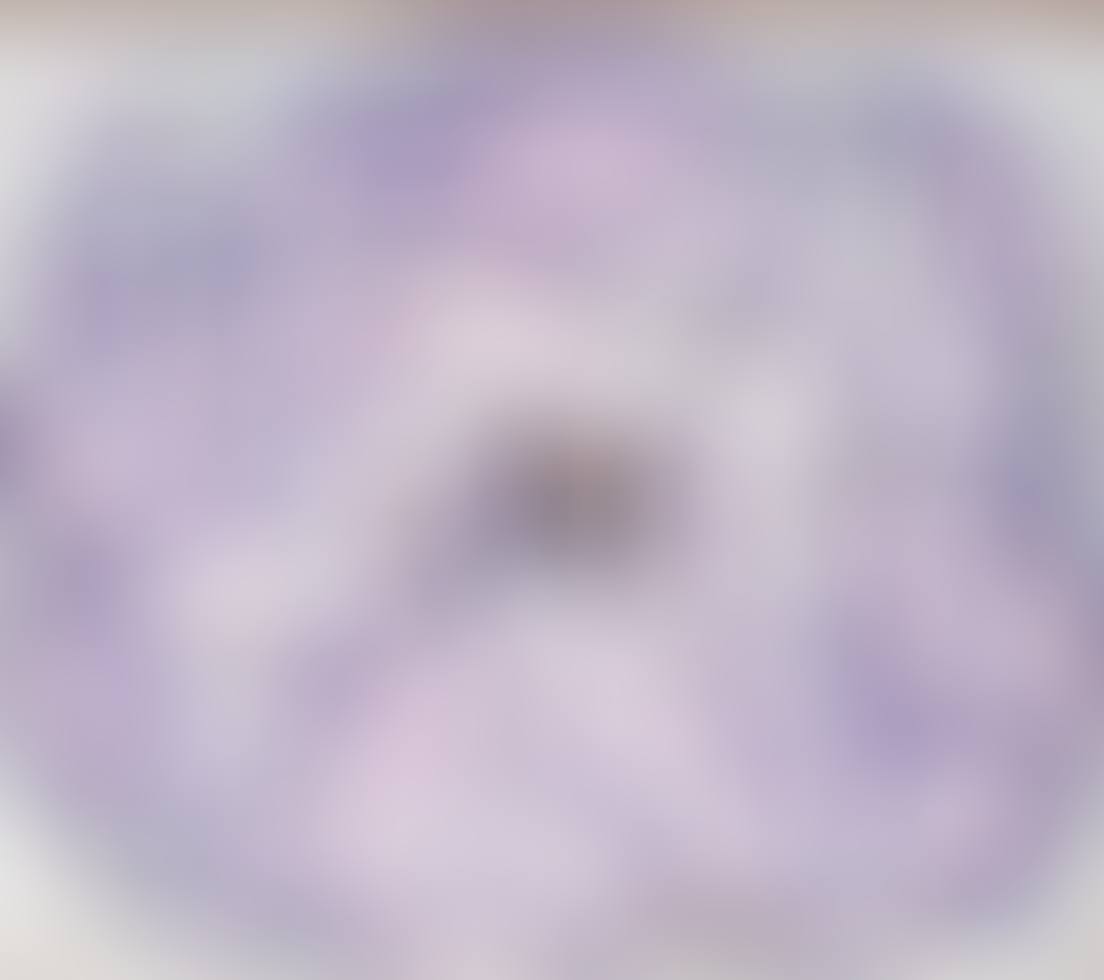 Untitled (Flower) (preview)