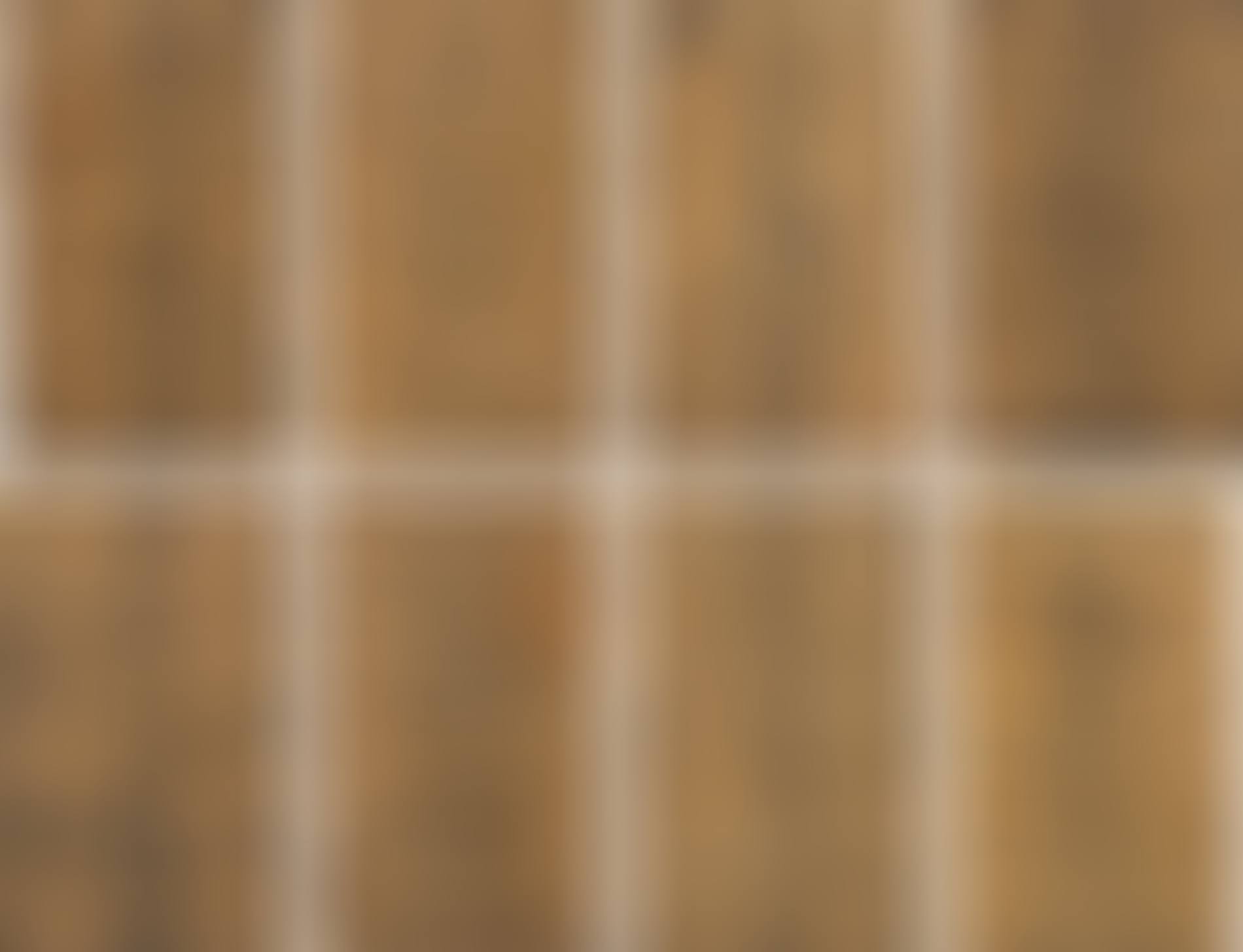 MinWha Tiger Skin (preview)