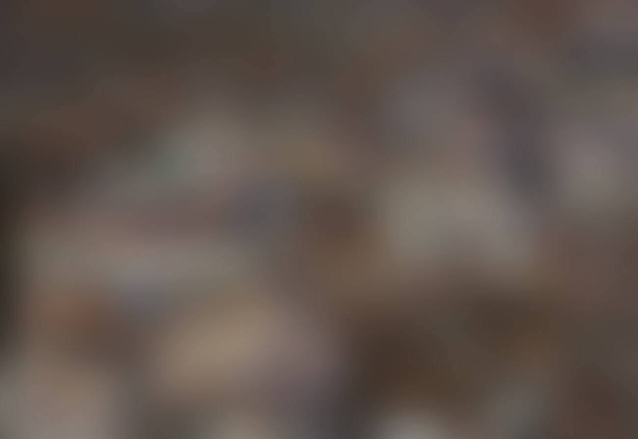 Valley Village-Spring (preview)