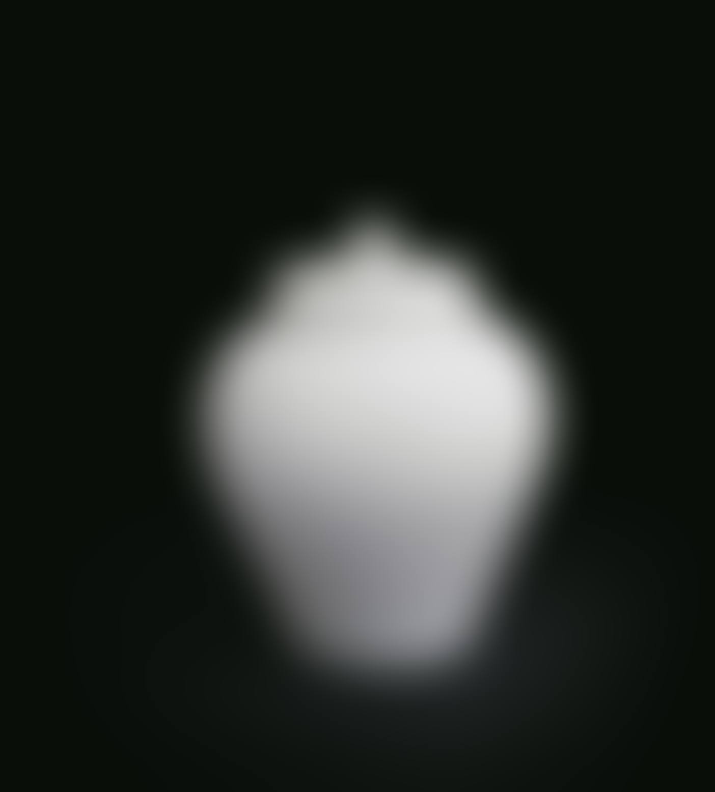 WHITE PORCELAIN JAR WITH COVER (preview)