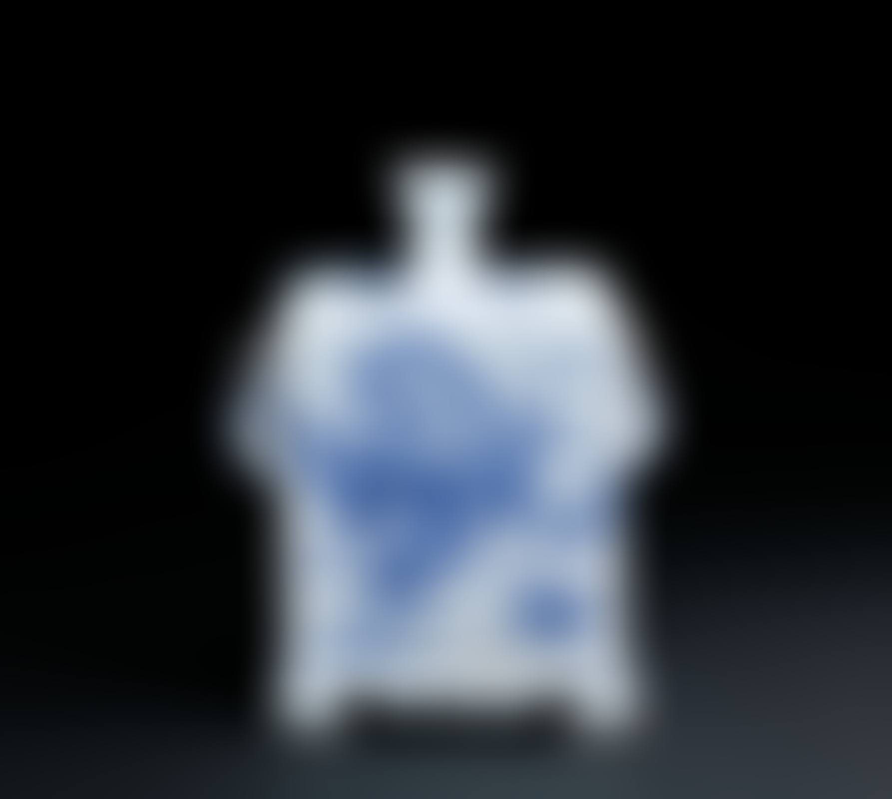 BLUE AND WHITE PORCELAIN SQUARE BOTTLE WITH TWO HANDLES (preview)