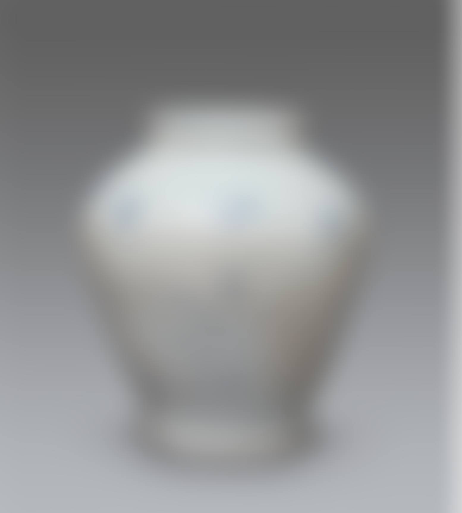 BLUE AND WHITE PORCELAIN JAR (preview)