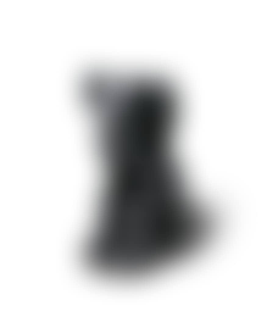 Passing through companion (black) (preview)