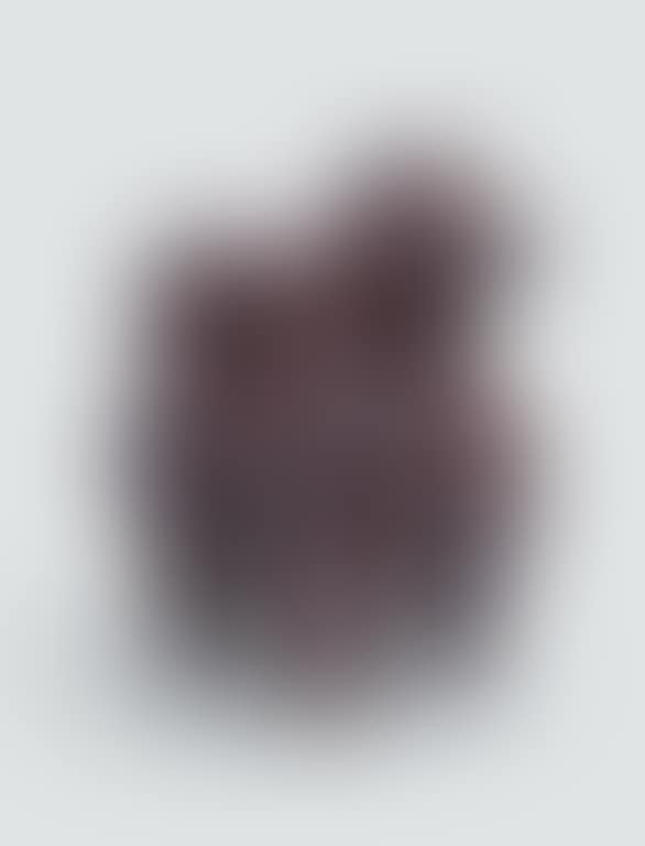 Perro (preview)