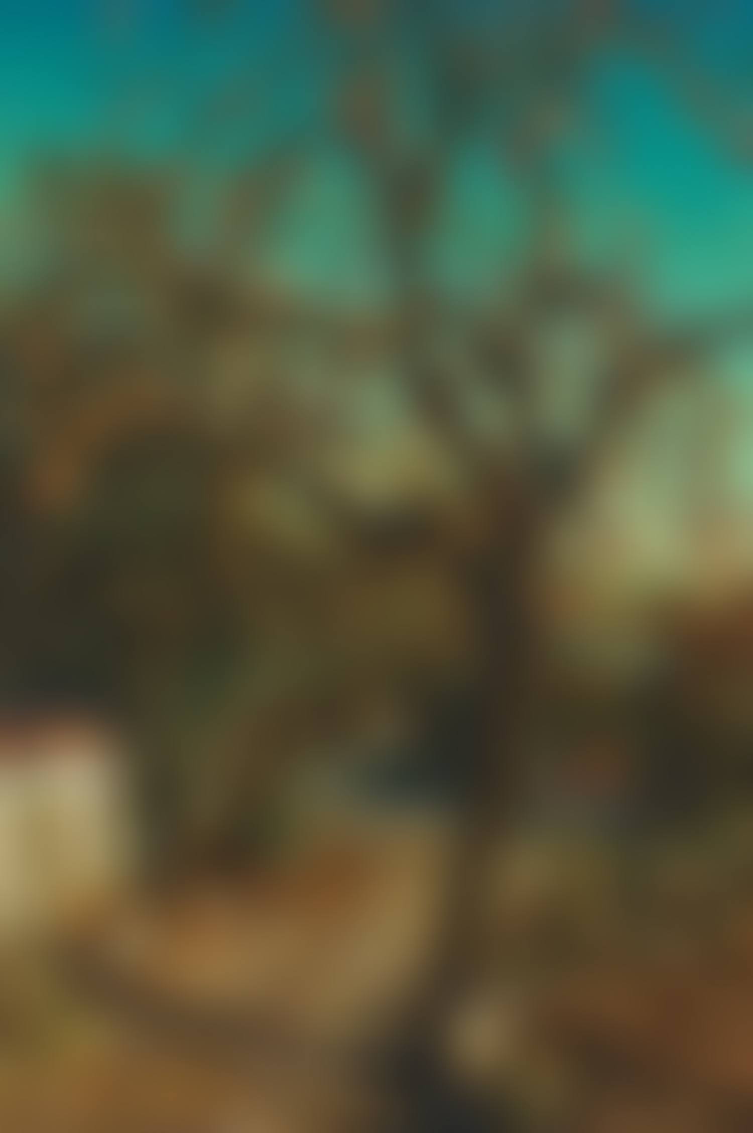 Back home (preview)
