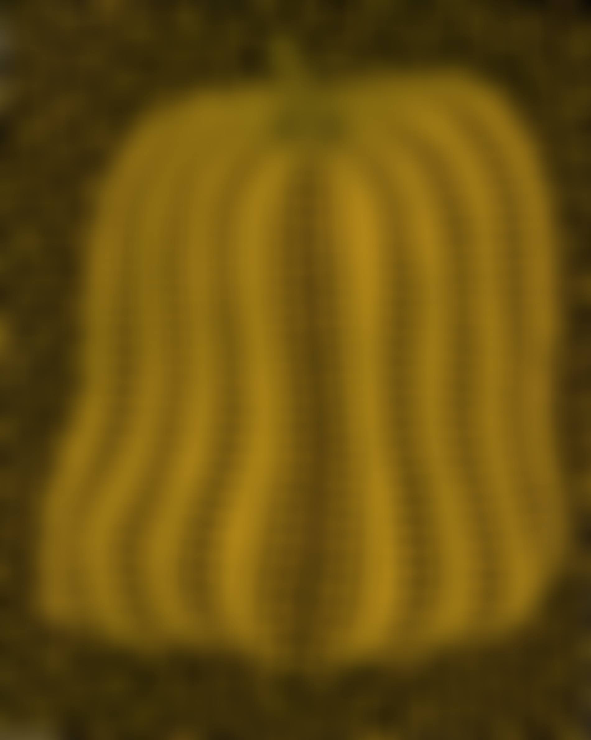 Pumpkin (preview)
