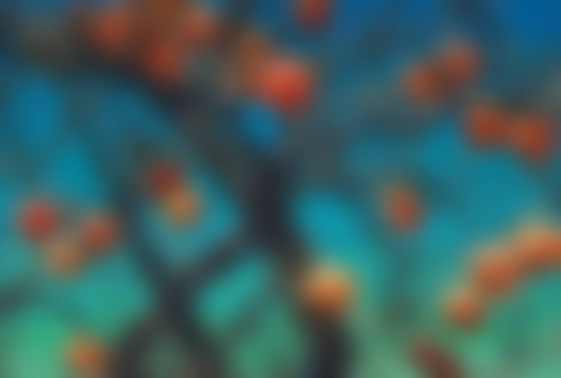 Persimmon (preview)