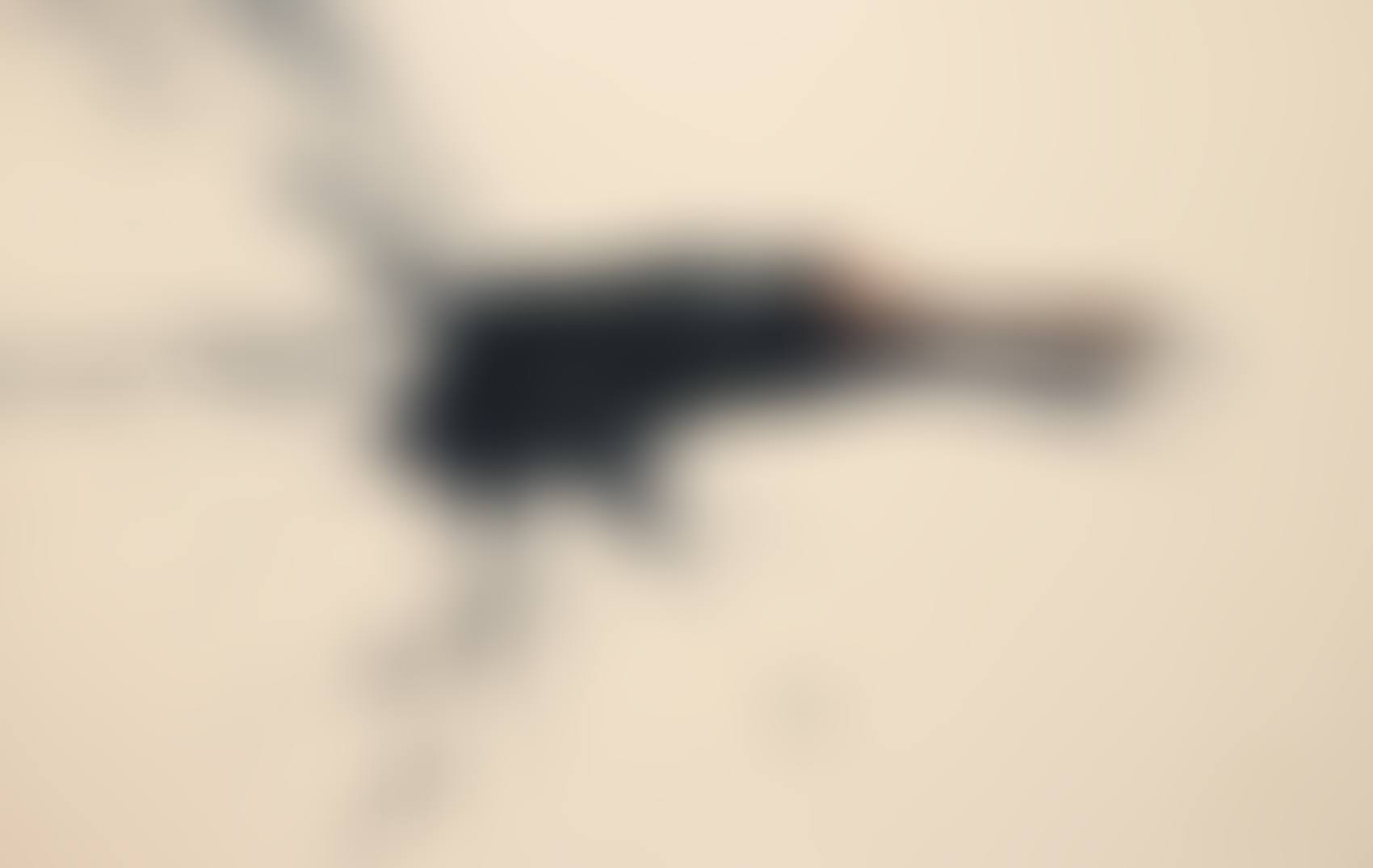 Brush (preview)