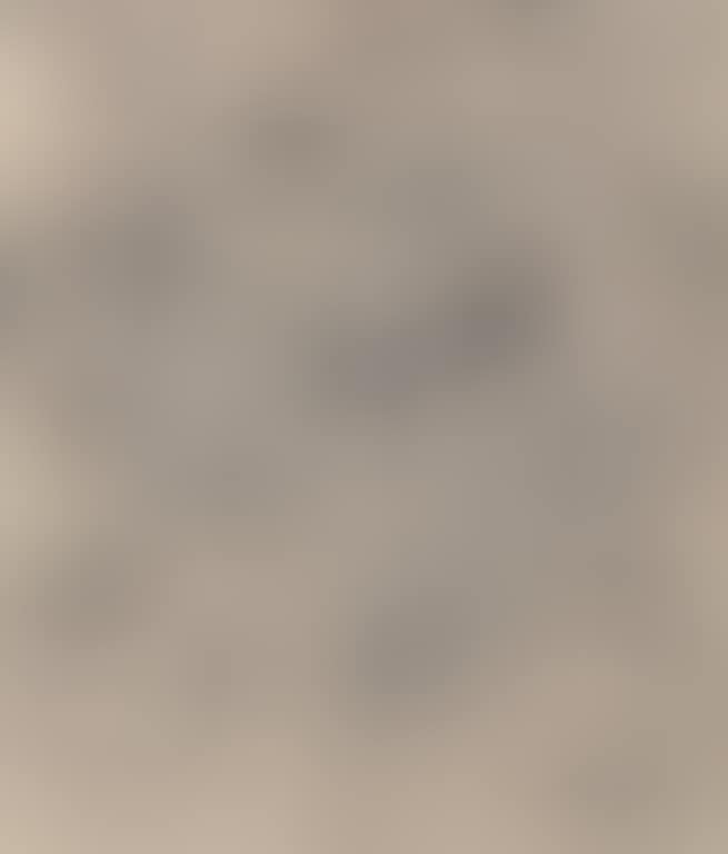 From Winds (preview)