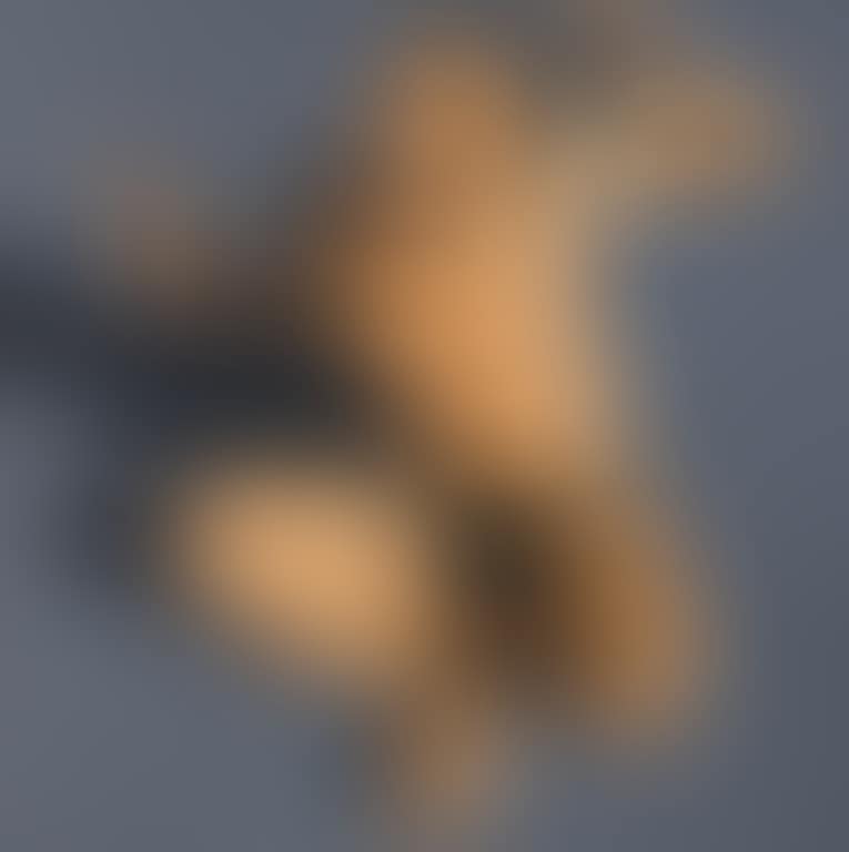 Life (preview)