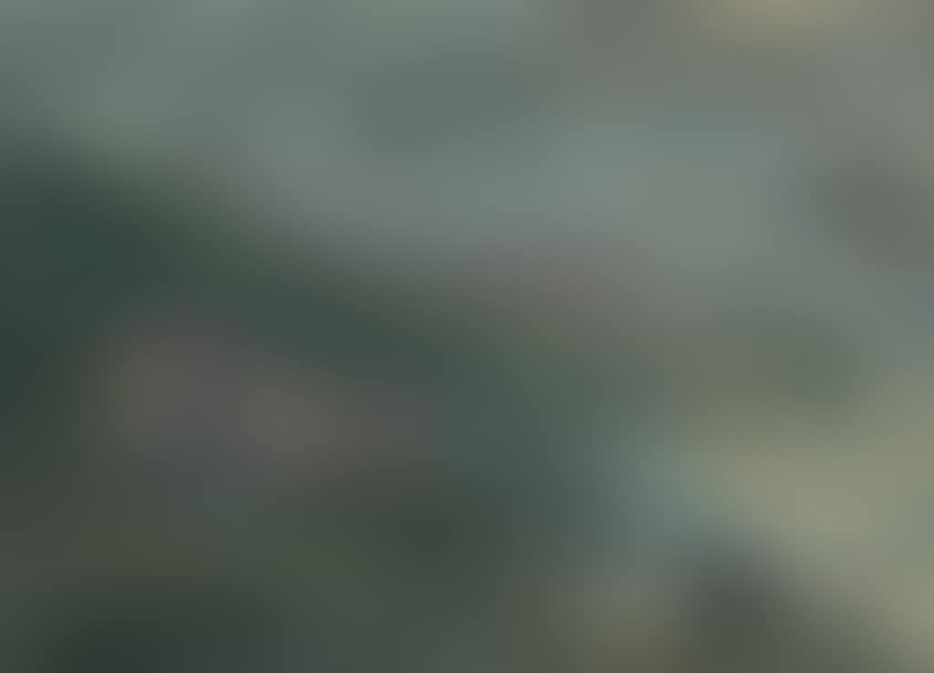Village (preview)