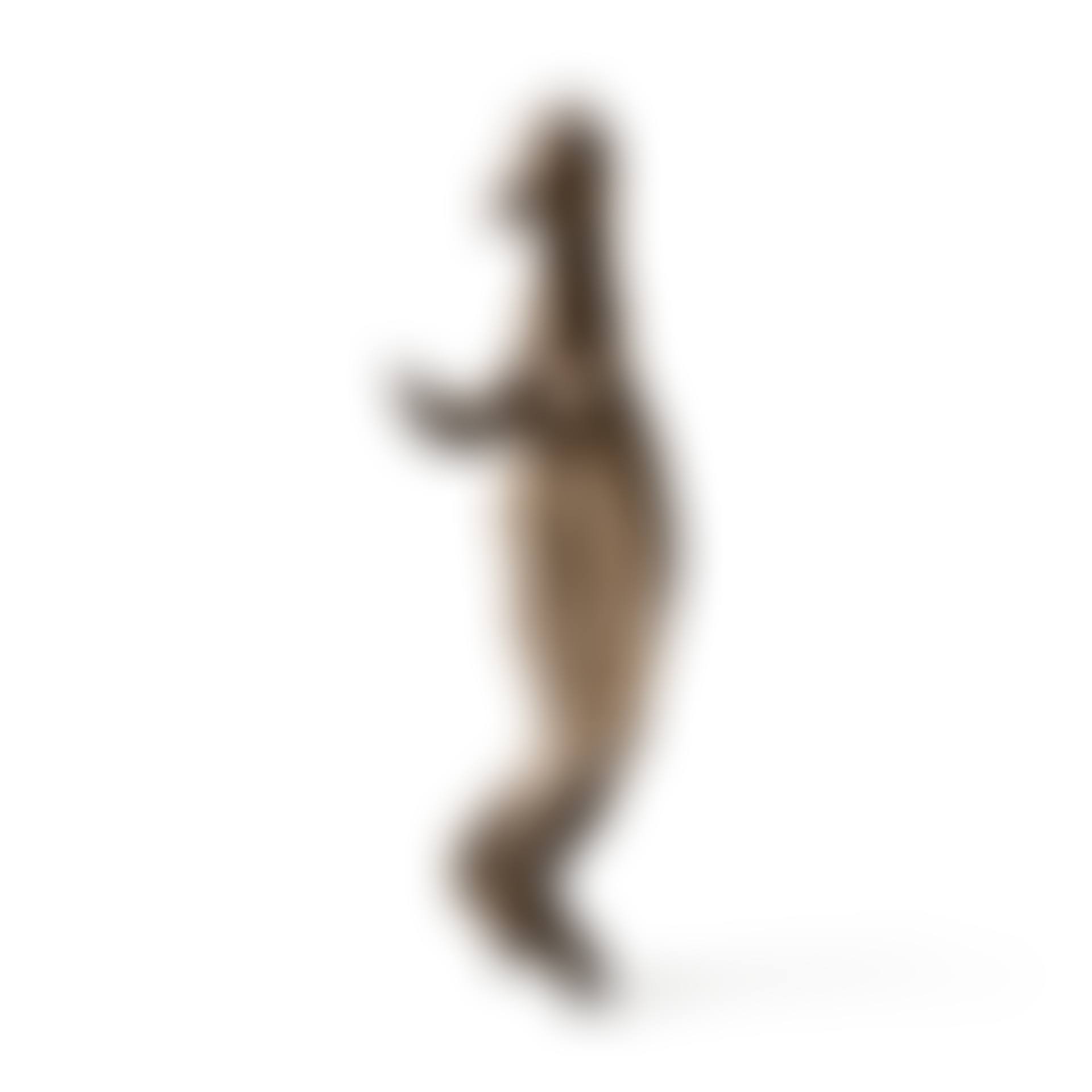Pendentif anthropomorphe en fer, Lobi, Burkina Faso (preview)