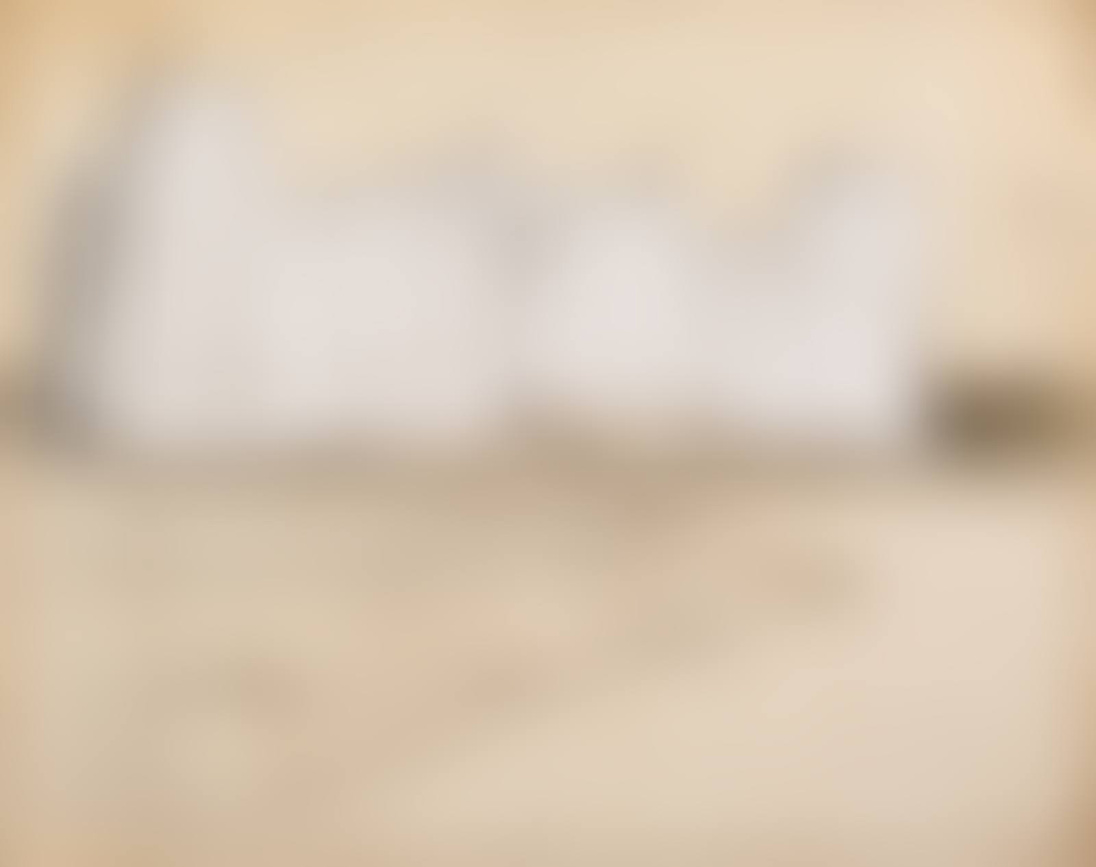 ”WRAPPED REICHSTAG (PROJECT FOR WEST BERLIN)” (preview)