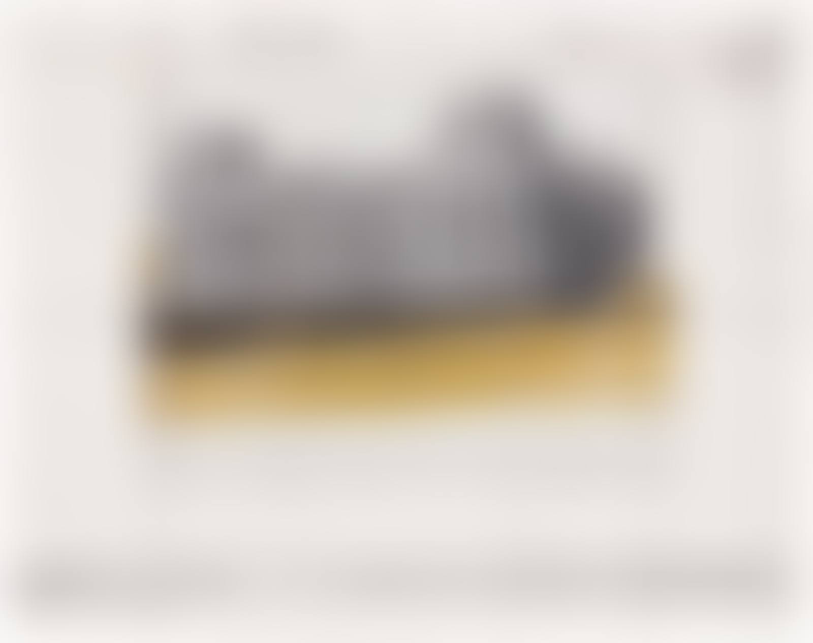 ”WRAPPED REICHSTAG (PROJECT FOR BERLIN)” (preview)